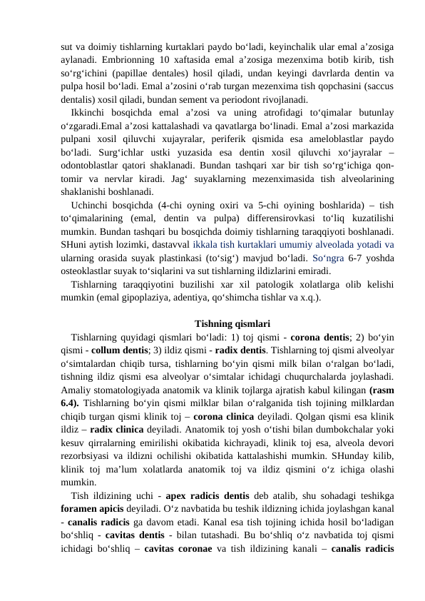 sut va doimiy tishlarning kurtaklari paydo bo‘ladi, keyinchalik ular emal a’zosiga
aylanadi. Embrionning 10 xaftasida emal a’zosiga mezenxima botib kirib, tish
so‘rg‘ichini (papillae dentales) hosil qiladi, undan keyingi davrlarda dentin va
pulpa hosil bo‘ladi. Emal a’zosini o‘rab turgan mezenxima tish qopchasini (saccus
dentalis) xosil qiladi, bundan sement va periodont rivojlanadi.   
Ikkinchi  bosqichda  emal  a’zosi  va  uning  atrofidagi  to‘qimalar  butunlay
o‘zgaradi.Emal a’zosi kattalashadi va qavatlarga bo‘linadi. Emal a’zosi markazida
pulpani  xosil  qiluvchi  xujayralar,  periferik  qismida  esa  ameloblastlar  paydo
bo‘ladi.  Surg‘ichlar  ustki  yuzasida  esa  dentin  xosil  qiluvchi  xo‘jayralar  –
odontoblastlar qatori shaklanadi. Bundan tashqari xar bir tish so‘rg‘ichiga qon-
tomir  va  nervlar  kiradi.  Jag‘  suyaklarning  mezenximasida  tish  alveolarining
shaklanishi boshlanadi.  
Uchinchi bosqichda (4-chi oyning oxiri va 5-chi oyining boshlarida) – tish
to‘qimalarining  (emal,  dentin  va  pulpa)  differensirovkasi  to‘liq  kuzatilishi
mumkin. Bundan tashqari bu bosqichda doimiy tishlarning taraqqiyoti boshlanadi.
SHuni aytish lozimki, dastavval ikkala tish kurtaklari umumiy alveolada yotadi va
ularning orasida suyak plastinkasi (to‘sig‘) mavjud bo‘ladi.  So‘ngra 6-7 yoshda
osteoklastlar suyak to‘siqlarini va sut tishlarning ildizlarini emiradi. 
Tishlarning  taraqqiyotini  buzilishi  xar  xil  patologik  xolatlarga  olib  kelishi
mumkin (emal gipoplaziya, adentiya, qo‘shimcha tishlar va x.q.).               
Tishning qismlari
Tishlarning quyidagi qismlari bo‘ladi: 1) toj qismi - corona dentis; 2) bo‘yin
qismi - collum dentis; 3) ildiz qismi - radix dentis. Tishlarning toj qismi alveolyar
o‘simtalardan chiqib tursa, tishlarning bo‘yin qismi milk bilan o‘ralgan bo‘ladi,
tishning ildiz qismi esa alveolyar o‘simtalar ichidagi chuqurchalarda joylashadi.
Amaliy stomatologiyada anatomik va klinik tojlarga ajratish kabul kilingan (rasm
6.4).  Tishlarning bo‘yin qismi milklar bilan o‘ralganida tish tojining milklardan
chiqib turgan qismi klinik toj – corona clinica deyiladi. Qolgan qismi esa klinik
ildiz – radix clinica deyiladi. Anatomik toj yosh o‘tishi bilan dumbokchalar yoki
kesuv  qirralarning emirilishi okibatida kichrayadi, klinik  toj esa, alveola devori
rezorbsiyasi va ildizni ochilishi okibatida kattalashishi mumkin. SHunday kilib,
klinik  toj ma’lum  xolatlarda  anatomik  toj  va  ildiz  qismini  o‘z  ichiga  olashi
mumkin.
Tish ildizining uchi -  apex radicis dentis deb atalib,  shu sohadagi teshikga
foramen apicis deyiladi. O‘z navbatida bu teshik ildizning ichida joylashgan kanal
- canalis radicis ga davom etadi. Kanal esa tish tojining ichida hosil bo‘ladigan
bo‘shliq - cavitas dentis -  bilan tutashadi.  Bu bo‘shliq o‘z navbatida toj qismi
ichidagi bo‘shliq –  cavitas coronae va tish ildizining kanali –  canalis radicis
