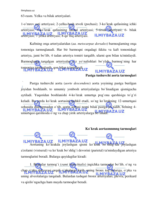 Ilmiybaza.uz 
 
63-rasm. Yelka va bilak arteriyalari.  
1-o’mrov osti arteriyasi; 2-yelka-bosh stvoli (pochasi); 3-ko’krak qafasining ichki 
arteriyasi; 4-ko’krak qafasining lateral arteriyasi; 5-tirsak arteriyasi; 6- bilak 
arteriyasi; 7-yelka arteriyasi; 8-qo’ltiq arteriyasi.  
 
Kaftning orqa arteriyalaridan (aa. metocarpae dorsales) barmoqlarning orqa 
tomoniga tarmoqlanadi. Har bir barmoqni orqadagi ikkita va kaft tomonidagi 
arteriya, jami bo`lib, 4 tadan arteriya tomiri tarqalib, ularni qon bilan ta'minlaydi. 
Barmoqlarga tarqalgan arteriyalar o`z yo`nalishlari bo`ylab, barmog`ning har 
tomoniga tarmoqlanib, qon bilan ta'minlaydi. 
Pastga tushuvchi aorta tarmoqlari 
 
Pastga tushuvchi aorta (aorte descendens) aorta yoyining pastga burilgan 
joyidan boshlanib, to umumiy yonbosh arteriyalariga bo`linadigan qismigacha 
aytiladi. Yuqoridan boshlanishi 4-ko`krak umurtqa pog`ona qarshisiga to`g`ri 
keladi. Bu yerda ko`krak aortasini tashkil etadi, so`ng ko`krakning 12-umurtqasi 
sohasida diafragmadan o`tib, qorin aortasi nomi bilan pastga yo`nalib, belning 4-
umurtqasi qarshisida o`ng va chap yirik arteriyalarga bo`linadi. 
 
Ko`krak aortasmnmng tarmoqlari 
 
 
Aortaning ko`krakda joylashgan qismi ko`krak bo`shlig`ida joylashgan 
a'zolarni (vistseral) va ko`krak bo`shlig`i devorini (parietal) ta'minlaydigan arteriya 
tarmoqlarini beradi. Bularga quyidagilar kiradi: 
 
1. Bronxlar tarmog`i (rami bronchialis) ingichka tarmoqlar bo`lib, o`ng va 
chap o`pka darvozasi orqali o`pkalarga kirib, uning bronx tog`aylariga, o`pka va 
uning alveolalariga tarqaladi. Bulardan tashqari bronx arteriyalari, plevra, perikard 
va qizilo`ngachga ham mayda tarmoqlar beradi. 
