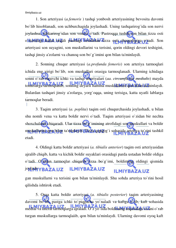 Ilmiybaza.uz 
 
 
1. Son arteriyasi (a.femoris ) tashqi yonbosh arteriyasining bevosita davomi 
bo`lib hisoblanadi, son uchburchagida joylashadi. Uning tashqarirog`ida son nervi 
joylashsa, ichkarirog`idan son venasi o`tadi. Pastroqqa tushib son bilan tizza osti 
o`rtasidagi kanal orqali pastdagi teshikdan tizza osti chuqurligiga o`tadi. Son 
arteriyasi son suyagini, son muskullarini va terisini, qorin oldingi devori teshigini, 
tashqi jinsiy a'zolarni va chanoq-son bo`g`imini qon bilan ta'minlaydi. 
 
2. Sonning chuqur arteriyasi (a.profunda femoris) son arteriya tarmoqlari 
ichida eng yirigi bo`lib, son muskullari orasiga tarmoqlanadi. Ularning ichidaga 
sonni o`rab turuvchi ichki va tashqi arteriyalari (aa. circumflexae medialis) mayda 
tomirlarga tarmoqlanib, sonning deyarli hamma muskullarini qon bilan ta'minlaydi. 
Bulardan tashqari jinsiy a'zolarga, yorg`oqqa, uning terisiga, katta uyatli lablarga 
tarmoqlar beradi. 
 
3. Taqim arteriyasi (a. poplita) taqim osti chuqurchasida joylashadi, u bilan 
shu nomli vena va katta boldir nervi o`tadi. Taqim arteriyasi o`zidan bir nechta 
shoxchalarni chiqaradi. Ular tizza bo`g`imining atrofidagi son muskullari va boldir 
muskullarini qon bilan ta'minlaydi. Tizza qopqog`i sohasida arteriya to`rini tashkil 
etadi.  
 
4. Oldingi katta boldir arteriyasi (a. tibialis anterior) taqim osti arteriyasidan 
ajralib chiqib, katta va kichik boldir suyaklari orasidagi parda ustadan boldir oldiga 
o`tadi. O`zidan tarmoqlar chiqarib tizza bo`g`imi, boldirning oldingi qismida 
joylash- 
gan muskullarni va terisini qon bilan ta'minlaydi. Shu sohda arteriya to`rini hosil 
qilishda ishtirok etadi. 
 
5. Orqa katta boldir arteriyasi (a. tibialis posterior) taqim arteriyasining 
davomi bo`lib, pastga ichki to`piqgacha yo`naladi va kaftga o`tib, kaft sohasida 
medial va lateral tarmoqlarga ajraladi. O`z yo`lida boldirning orqasidagi va uni o`rab 
turgan muskullarga tarmoqlaiib, qon bilan ta'minlaydi. Ularning davomi oyoq kaft 
