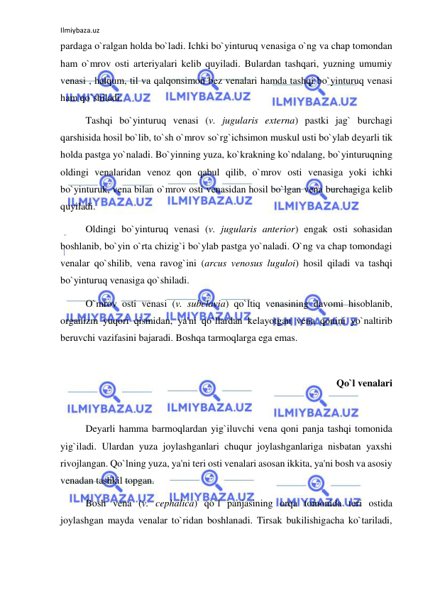 Ilmiybaza.uz 
 
pardaga o`ralgan holda bo`ladi. Ichki bo`yinturuq venasiga o`ng va chap tomondan 
ham o`mrov osti arteriyalari kelib quyiladi. Bulardan tashqari, yuzning umumiy 
venasi , halqum, til va qalqonsimon bez venalari hamda tashqi bo`yinturuq venasi 
ham qo`shiladi. 
 
Tashqi bo`yinturuq venasi (v. jugularis externa) pastki jag` burchagi 
qarshisida hosil bo`lib, to`sh o`mrov so`rg`ichsimon muskul usti bo`ylab deyarli tik 
holda pastga yo`naladi. Bo`yinning yuza, ko`krakning ko`ndalang, bo`yinturuqning 
oldingi venalaridan venoz qon qabul qilib, o`mrov osti venasiga yoki ichki 
bo`yinturuk, vena bilan o`mrov osti venasidan hosil bo`lgan vena burchagiga kelib 
quyiladi.  
 
Oldingi bo`yinturuq venasi (v. jugularis anterior) engak osti sohasidan 
boshlanib, bo`yin o`rta chizig`i bo`ylab pastga yo`naladi. O`ng va chap tomondagi 
venalar qo`shilib, vena ravog`ini (arcus venosus luguloi) hosil qiladi va tashqi 
bo`yinturuq venasiga qo`shiladi.  
 
O`mrov osti venasi (v. subclavia) qo`ltiq venasining davomi hisoblanib, 
organizm yuqori qismidan, ya'ni qo`llardan kelayotgan vena qonini yo`naltirib 
beruvchi vazifasini bajaradi. Boshqa tarmoqlarga ega emas. 
 
Qo`l venalari 
 
 
Deyarli hamma barmoqlardan yig`iluvchi vena qoni panja tashqi tomonida 
yig`iladi. Ulardan yuza joylashganlari chuqur joylashganlariga nisbatan yaxshi 
rivojlangan. Qo`lning yuza, ya'ni teri osti venalari asosan ikkita, ya'ni bosh va asosiy 
venadan tashkil topgan. 
 
Bosh vena (v. cephalica) qo`l panjasining orqa tomonida teri ostida 
joylashgan mayda venalar to`ridan boshlanadi. Tirsak bukilishigacha ko`tariladi, 
