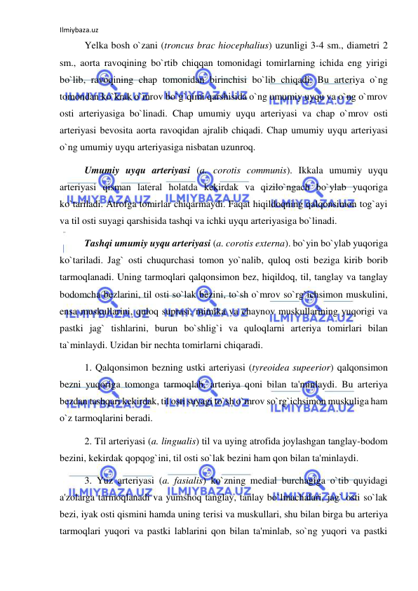 Ilmiybaza.uz 
 
 
Yelka bosh o`zani (troncus brac hiocephalius) uzunligi 3-4 sm., diametri 2 
sm., aorta ravoqining bo`rtib chiqqan tomonidagi tomirlarning ichida eng yirigi 
bo`lib, ravoqining chap tomonidan birinchisi bo`lib chiqadi. Bu arteriya o`ng 
tomondan ko`krak o`mrov bo`g`qimi qarshisida o`ng umumiy uyqu va o`ng o`mrov 
osti arteriyasiga bo`linadi. Chap umumiy uyqu arteriyasi va chap o`mrov osti 
arteriyasi bevosita aorta ravoqidan ajralib chiqadi. Chap umumiy uyqu arteriyasi 
o`ng umumiy uyqu arteriyasiga nisbatan uzunroq.  
 
Umumiy uyqu arteriyasi (a. corotis communis). Ikkala umumiy uyqu 
arteriyasi qisman lateral holatda kekirdak va qizilo`ngach bo`ylab yuqoriga 
ko`tariladi. Atrofga tomirlar chiqarmaydi. Faqat hiqildoqning qalqonsimon tog`ayi 
va til osti suyagi qarshisida tashqi va ichki uyqu arteriyasiga bo`linadi.  
 
Tashqi umumiy uyqu arteriyasi (a. corotis externa). bo`yin bo`ylab yuqoriga 
ko`tariladi. Jag` osti chuqurchasi tomon yo`nalib, quloq osti beziga kirib borib 
tarmoqlanadi. Uning tarmoqlari qalqonsimon bez, hiqildoq, til, tanglay va tanglay 
bodomcha bezlarini, til osti so`lak bezini, to`sh o`mrov so`rg`ichsimon muskulini, 
ensa muskullarini, quloq suprasi, mimika va chaynov muskullarining yuqorigi va 
pastki jag` tishlarini, burun bo`shlig`i va quloqlarni arteriya tomirlari bilan 
ta`minlaydi. Uzidan bir nechta tomirlarni chiqaradi.  
 
1. Qalqonsimon bezning ustki arteriyasi (tyreoidea supeerior) qalqonsimon 
bezni yuqoriga tomonga tarmoqlab, arteriya qoni bilan ta'minlaydi. Bu arteriya 
bezdan tashqari kekirdak, til osti suyagi to`sh o`mrov so`rg`ichsimon muskuliga ham 
o`z tarmoqlarini beradi. 
 
2. Til arteriyasi (a. lingualis) til va uying atrofida joylashgan tanglay-bodom 
bezini, kekirdak qopqog`ini, til osti so`lak bezini ham qon bilan ta'minlaydi. 
 
3. Yuz arteriyasi (a. fasialis) ko`zning medial burchagiga o`tib quyidagi 
a'zolarga tarmoqlanadi va yumshoq tanglay, tanlay bo`lmachalari, jag` osti so`lak 
bezi, iyak osti qismini hamda uning terisi va muskullari, shu bilan birga bu arteriya 
tarmoqlari yuqori va pastki lablarini qon bilan ta'minlab, so`ng yuqori va pastki 
