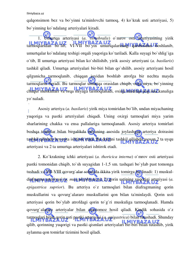 Ilmiybaza.uz 
 
qalqonsimon bez va bo`yinni ta'minlovchi tarmoq, 4) ko`krak usti arteriyasi, 5) 
bo`yinning ko`ndalang arteriyalari kiradi.  
 
1. Umurtqa arteriyasi (a. vertebralis) o`mrov osti arteriyasining yirik 
tarmoqlaridan bo`lib, VI-VII bo`yin umurtqalarining qarshisidan boshlanib, 
umurtqalar ko`ndalang teshigi orqali yuqoriga ko`tariladi. Kalla suyagi bo`shlig`iga 
o`tib, II umurtqa arteriyasi bilan ko`shilishib, yirik asosiy arteriyani (a. basilaris) 
tashkil qiladi. Umurtqa arteriyalari bir-biri bilan qo`shilib, asosiy arteriyani hosil 
qilgunicha tarmoqlanib, chiqqan joyidan boshlab atrofga bir nechta mayda 
tarmoqlarni beradi. Bu tarmoqlar umurtqa orasidan chiqib, orqa miya, bo`yinning 
chuqur muskullari va orqa miyaga tarmoqlanadi, oxirgi umurtqa pog`ona kanaliga 
yo`naladi.  
 
Asosiy arteriya (a. basilaris) yirik miya tomiridan bo`lib, undan miyachaning 
yuqoriga va pastki arteriyalari chiqadi. Uning oxirgi tarmoqlari miya yarim 
sharlarining chakka va ensa pallalariga tarmoqlanadi. Asosiy arteriya tomirlari 
boshqa tomirlar bilan birgalikda miyaning asosida joylashgan arteriya doirasini 
tashkil qilishda bevosita ishtirok etadi. Bu doirani tashkil qilishda asosan 2 ta uyqu 
arteriyasi va 2 ta umurtqa arteriyalari ishtirok etadi. 
 
2. Ko`krakning ichki arteriyasi (a. thoricica interna) o`mrov osti arteriyasi 
pastki tomonidan chiqib, to`sh suyagidan 1-1,5 sm. tashqari bo`ylab past tomonga 
tushadi va VII-VIII qovurg`alar sohasida ikkita yirik tomirga bo`linadi: 1) muskul-
diafragma arteriyasi (a. musculophrenica); 2) qorin ustining yuqorigi arteriyasi (a. 
epigastrica suprior). Bu arteriya o`z tarmoqlari bilan diafragmaning qorin 
muskullarini va qovurg`alararo muskullarini qon bilan ta'minlaydi. Qorin usti 
arteriyasi qorin bo`ylab atrofdagi qorin to`g`ri muskuliga tarmoqlanadi. Hamda 
qovurg`alararo arteriyalar bilan anastomoz hosil qiladi. Kindik sohasida o`z 
tarmoqlari bilan qorin usti pastki arteriyasi (a. apigastrica) bilan tutashadi. Shunday 
qilib, qorinning yuqorigi va pastki qismlari arteriyalari bir-biri bilan tutashib, yirik 
aylanma qon tomirlar tizimini hosil qiladi.  
