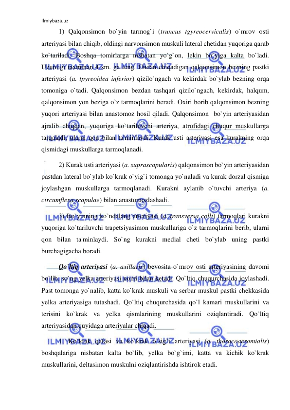 Ilmiybaza.uz 
 
 
1) Qalqonsimon bo`yin tarmog`i (truncus tgyreocervicalis) o`mrov osti 
arteriyasi bilan chiqib, oldingi narvonsimon muskuli lateral chetidan yuqoriga qarab 
ko`tariladi. Boshqa tomirlarga nisbatan yo`g`on, lekin bo`yiga kalta bo`ladi. 
Uzunligi taxminan 4 sm. ga teng. Undan chiqadigan qalqonsimon bezning pastki 
arteriyasi (a. tpyreoidea inferior) qizilo`ngach va kekirdak bo`ylab bezning orqa 
tomoniga o`tadi. Qalqonsimon bezdan tashqari qizilo`ngach, kekirdak, halqum, 
qalqonsimon yon beziga o`z tarmoqlarini beradi. Oxiri borib qalqonsimon bezning 
yuqori arteriyasi bilan anastomoz hosil qiladi. Qalqonsimon  bo`yin arteriyasidan 
ajralib chiqqan, yuqoriga ko`tariluvchi arteriya, atrofidagi chuqur muskullarga 
tarqaladi, ularni qon bilan ta'minlaydi. Kurak usti arteriyasi esa kurakning orqa 
qismidagi muskullarga tarmoqlanadi.  
 
2) Kurak usti arteriyasi (a. suprascapularis) qalqonsimon bo`yin arteriyasidan 
pastdan lateral bo`ylab ko`krak o`yig`i tomonga yo`naladi va kurak dorzal qismiga 
joylashgan muskullarga tarmoqlanadi. Kurakni aylanib o`tuvchi arteriya (a. 
circumflexa scapulae) bilan anastomozlashadi.  
 
3) Bo`yinning ko`ndalang arteriyasi (a. transversa colli) tarmoqlari kurakni 
yuqoriga ko`tariluvchi trapetsiyasimon muskullariga o`z tarmoqlarini berib, ularni 
qon bilan ta'minlaydi. So`ng kurakni medial cheti bo`ylab uning pastki 
burchagigacha boradi.  
 
Qo`ltiq arteriyasi (a. axillaris) bevosita o`mrov osti arteriyasining davomi 
bo`lib, so`ng yelka arteriyasi nomi bilan ketadi. Qo`ltiq chuqurchasida joylashadi. 
Past tomonga yo`nalib, katta ko`krak muskuli va serbar muskul pastki chekkasida 
yelka arteriyasiga tutashadi. Qo`ltiq chuqurchasida qo`l kamari muskullarini va 
terisini ko`krak va yelka qismlarining muskullarini oziqlantiradi. Qo`ltiq 
arteriyasidan quyidaga arteriyalar chiqadi.  
1. Ko`krak qafasi va ko`krak o`sig`i arteriyasi (a. thoracoacromialis) 
boshqalariga nisbatan kalta bo`lib, yelka bo`g`imi, katta va kichik ko`krak 
muskullarini, deltasimon muskulni oziqlantirishda ishtirok etadi. 
