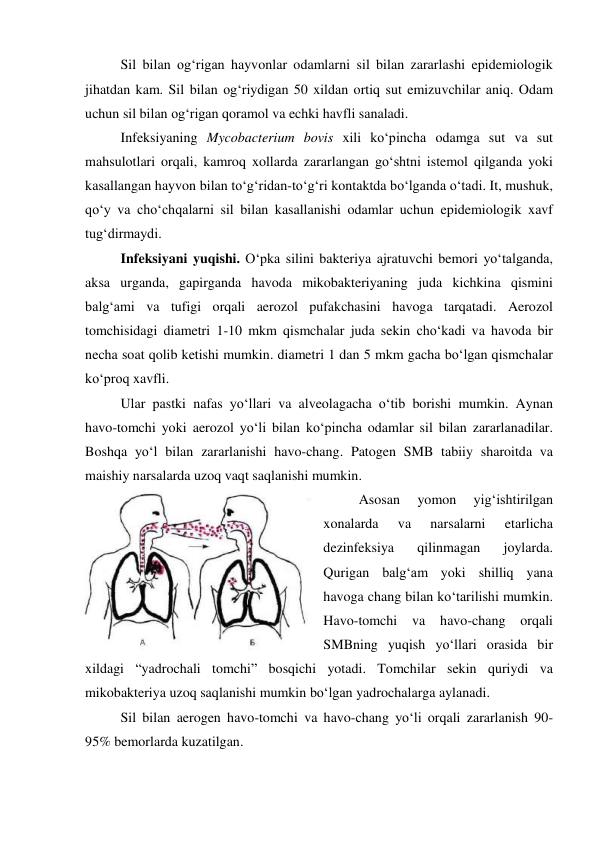 Sil bilan og‘rigan hayvonlar odamlarni sil bilan zararlashi epidemiologik 
jihatdan kam. Sil bilan og‘riydigan 50 xildan ortiq sut emizuvchilar aniq. Odam 
uchun sil bilan og‘rigan qoramol va echki havfli sanaladi.  
Infeksiyaning Mycobacterium bovis xili ko‘pincha odamga sut va sut 
mahsulotlari orqali, kamroq xollarda zararlangan go‘shtni istemol qilganda yoki 
kasallangan hayvon bilan to‘g‘ridan-to‘g‘ri kontaktda bo‘lganda o‘tadi. It, mushuk, 
qo‘y va cho‘chqalarni sil bilan kasallanishi odamlar uchun epidemiologik xavf 
tug‘dirmaydi. 
Infeksiyani yuqishi. O‘pka silini bakteriya ajratuvchi bemori yo‘talganda, 
aksa urganda, gapirganda havoda mikobakteriyaning juda kichkina qismini 
balg‘ami va tufigi orqali aerozol pufakchasini havoga tarqatadi. Aerozol 
tomchisidagi diametri 1-10 mkm qismchalar juda sekin cho‘kadi va havoda bir 
necha soat qolib ketishi mumkin. diametri 1 dan 5 mkm gacha bo‘lgan qismchalar 
ko‘proq xavfli.  
Ular pastki nafas yo‘llari va alveolagacha o‘tib borishi mumkin. Aynan 
havo-tomchi yoki aerozol yo‘li bilan ko‘pincha odamlar sil bilan zararlanadilar. 
Boshqa yo‘l bilan zararlanishi havo-chang. Patogen SMB tabiiy sharoitda va 
maishiy narsalarda uzoq vaqt saqlanishi mumkin. 
Asosan 
yomon 
yig‘ishtirilgan 
xonalarda 
va 
narsalarni 
etarlicha 
dezinfeksiya 
qilinmagan 
joylarda. 
Qurigan balg‘am yoki shilliq yana 
havoga chang bilan ko‘tarilishi mumkin. 
Havo-tomchi 
va 
havo-chang 
orqali 
SMBning yuqish yo‘llari orasida bir 
xildagi “yadrochali tomchi” bosqichi yotadi. Tomchilar sekin quriydi va 
mikobakteriya uzoq saqlanishi mumkin bo‘lgan yadrochalarga aylanadi. 
 
Sil bilan aerogen havo-tomchi va havo-chang yo‘li orqali zararlanish 90-
95% bemorlarda kuzatilgan. 
