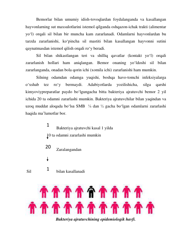 1 
20 
1 
 
Bemorlar bilan umumiy idish-tovoqlardan foydalanganda va kasallangan 
hayvonlarning sut maxsulotlarini istemol qilganda oshqazon-ichak trakti (alimentar 
yo‘l) orqali sil bilan bir muncha kam zararlanadi. Odamlarni hayvonlardan bu 
tarzda zararlanishi, ko‘pincha sil mastiti bilan kasallangan hayvonni sutini 
qaynatmasdan istemol qilish orqali ro‘y beradi.  
Sil bilan shikastlangan teri va shilliq qavatlar (kontakt yo‘l) orqali 
zararlanish hollari ham aniqlangan. Bemor onaning yo‘ldoshi sil bilan 
zararlanganda, onadan bola qorin ichi (xomila ichi) zararlanishi ham mumkin.  
 
Silning odamdan odamga yuqishi, boshqa havo-tomchi infeksiyalarga 
o‘xshab 
tez 
ro‘y 
bermaydi. 
Adabiyotlarda 
yozilishicha, 
silga 
qarshi 
kimyoviypreparatlar paydo bo‘lgungacha bitta bakteriya ajratuvchi bemor 2 yil 
ichida 20 ta odamni zararlashi mumkin. Bakteriya ajratuvchilar bilan yaqindan va 
uzoq muddat aloqada bo‘lsa SMB  ¼ dan ½ gacha bo‘lgan odamlarni zararlashi 
haqida ma’lumotlar bor. 
 
Bakteriya ajratuvchi kasal 1 yilda  
                    10 ta odamni zararlashi mumkin 
                                                                 
                   
Zaralangandan  
                                                                                 
                     
 
 Sil 
bilan kasallanadi       
 
Bakteriya ajratuvchining epidemiologik havfi. 
