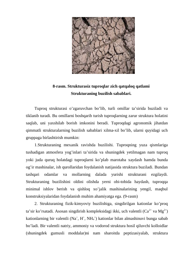    
8-rasm. Strukturasiz tuproqlar zich qatqaloq qatlami
Strukturaning buzilish sabablari.
Tuproq strukturasi o’zgaruvchan bo’lib, turli omillar ta’sirida buziladi va
tiklanib turadi. Bu omillarni boshqarib turish tuproqlarning zarur struktura holatini
saqlab,  uni  yaxshilab  borish imkonini  beradi. Tuproqdagi  agronomik jihatdan
qimmatli strukturalarning buzilish sabablari xilma-xil bo’lib, ularni quyidagi uch
gruppaga birlashtirish mumkin: 
1.Strukturaning  mexanik  ravishda  buzilishi.  Tuproqning  yuza  qismlariga
tushadigan atmosfera yog’inlari ta’sirida va shuningdek yetilmagan nam tuproq
yoki juda quruq holatdagi tuproqlarni ko’plab marotaba xaydash hamda bunda
og’ir mashinalar, ish qurollaridan foydalanish natijasida struktura buziladi. Bundan
tashqari  odamlar  va  mollarning  dalada  yurishi  strukturani  ezgilaydi.
Strukturaning  buzilishini  oldini  olishda  yerni  obi-tobida  haydash,  tuproqqa
minimal  ishlov  berish  va  qishloq  xo’jalik  mashinalarining  yengil,  maqbul
konstruksiyalaridan foydalanish muhim ahamiyatga ega. (9-rasm)
2. Strukturaning fizik-kimyoviy buzilishiga, singdirilgan kationlar ko’proq
ta’sir ko’rsatadi. Asosan singdirish kompleksidagi ikki, uch valentli (Ca2+ va Mg2+)
kationlarning bir valentli (Na+, H+, NH4
+) kationlar bilan almashinuvi bunga sabab
bo’ladi. Bir valentli natriy, ammoniy va vodorod struktura hosil qiluvchi kolloidlar
(shuningdek  gumusli  moddalar)ni  nam  sharoitda  peptizasiyalab,  struktura
