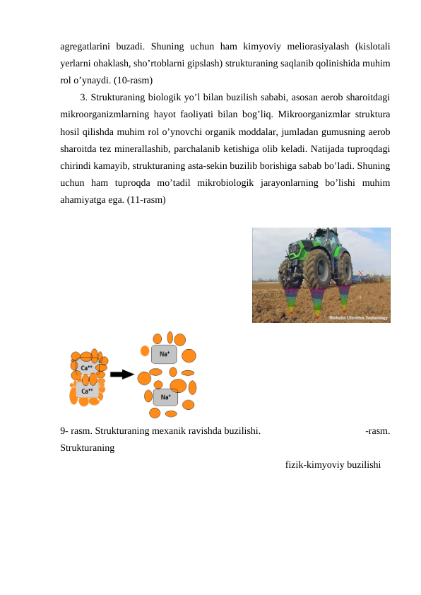 agregatlarini  buzadi.  Shuning  uchun  ham  kimyoviy  meliorasiyalash  (kislotali
yerlarni ohaklash, sho’rtoblarni gipslash) strukturaning saqlanib qolinishida muhim
rol o’ynaydi. (10-rasm)
3. Strukturaning biologik yo’l bilan buzilish sababi, asosan aerob sharoitdagi
mikroorganizmlarning hayot faoliyati bilan bog’liq. Mikroorganizmlar struktura
hosil qilishda muhim rol o’ynovchi organik moddalar, jumladan gumusning aerob
sharoitda tez minerallashib, parchalanib ketishiga olib keladi. Natijada tuproqdagi
chirindi kamayib, strukturaning asta-sekin buzilib borishiga sabab bo’ladi. Shuning
uchun  ham  tuproqda  mo’tadil  mikrobiologik  jarayonlarning  bo’lishi  muhim
ahamiyatga ega. (11-rasm)
 
 
 
 
 
 
 
 
9- rasm. Strukturaning mexanik ravishda buzilishi.
           -rasm.
Strukturaning 
fizik-kimyoviy buzilishi 
