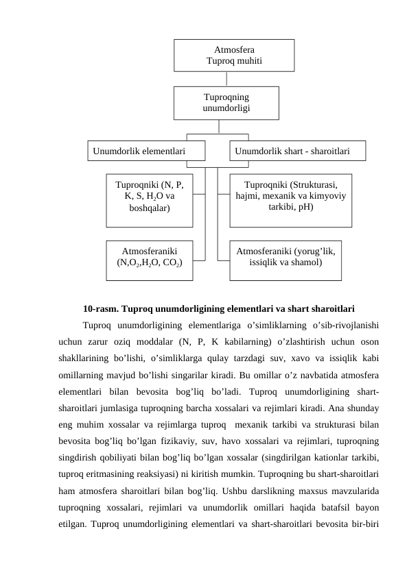 10-rasm. Tuproq unumdorligining elementlari va shart sharoitlari
Tuproq  unumdorligining  elementlariga  o’simliklarning  o’sib-rivojlanishi
uchun  zarur  oziq  moddalar  (N,  P,  K  kabilarning)  o’zlashtirish  uchun  oson
shakllarining bo’lishi,  o’simliklarga qulay tarzdagi  suv,  xavo va issiqlik  kabi
omillarning mavjud bo’lishi singarilar kiradi. Bu omillar o’z navbatida atmosfera
elementlari  bilan  bevosita  bog’liq  bo’ladi.  Tuproq  unumdorligining  shart-
sharoitlari jumlasiga tuproqning barcha xossalari va rejimlari kiradi. Ana shunday
eng muhim xossalar va rejimlarga tuproq  mexanik tarkibi va strukturasi bilan
bevosita bog’liq bo’lgan fizikaviy, suv, havo xossalari va rejimlari, tuproqning
singdirish qobiliyati bilan bog’liq bo’lgan xossalar (singdirilgan kationlar tarkibi,
tuproq eritmasining reaksiyasi) ni kiritish mumkin. Tuproqning bu shart-sharoitlari
ham atmosfera sharoitlari bilan bog’liq. Ushbu darslikning maxsus mavzularida
tuproqning  xossalari,  rejimlari  va  unumdorlik  omillari  haqida  batafsil  bayon
etilgan. Tuproq unumdorligining elementlari va shart-sharoitlari bevosita bir-biri
Atmosfera
Tuproq muhiti
Tuproqning 
unumdorligi
Unumdorlik elementlari
Unumdorlik shart - sharoitlari
Tuproqniki (N, P, 
K, S, H2O va 
boshqalar)
Tuproqniki (Strukturasi, 
hajmi, mexanik va kimyoviy 
tarkibi, pH)
Atmosferaniki 
(N,O2,H2O, CO2)
Atmosferaniki (yorug’lik, 
issiqlik va shamol)
