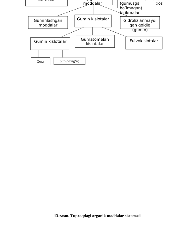 13-rasm. Tuproqdagi organik moddalar sistemasi 
mahsulotlar
xos) gumusli 
moddalar
ega 
bo lmagan 
(gumusga 
xos 
bo’lmagan) 
birikmalar
Guminlashgan 
moddalar
Gumin kislotalar 
Gidrolizlanmaydi
gan qoldiq 
(gumin)
Gumin kislotalar
Gumatomelan 
kislotalar
Fulvokislotalar
Qora 
Sur (qo’ng’ir)
