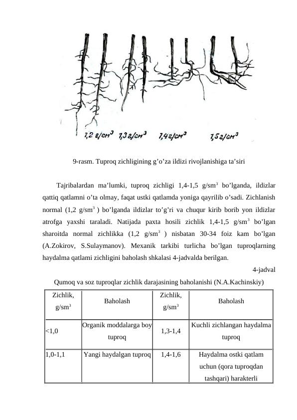 9-rasm. Tuproq zichligining g’o’za ildizi rivojlanishiga ta’siri
Tajribalardan  ma’lumki,  tuproq  zichligi  1,4-1,5  g/sm3 bo’lganda,  ildizlar
qattiq qatlamni o’ta olmay, faqat ustki qatlamda yoniga qayrilib o’sadi. Zichlanish
normal (1,2 g/sm3  ) bo’lganda ildizlar to’g’ri va chuqur kirib borib yon ildizlar
atrofga  yaxshi  taraladi.  Natijada  paxta  hosili  zichlik  1,4-1,5  g/sm3 bo’lgan
sharoitda  normal  zichlikka  (1,2  g/sm3
 )  nisbatan  30-34  foiz  kam  bo’lgan
(A.Zokirov,  S.Sulaymanov).  Mexanik  tarkibi  turlicha  bo’lgan  tuproqlarning
haydalma qatlami zichligini baholash shkalasi 4-jadvalda berilgan.
4-jadval
Qumoq va soz tuproqlar zichlik darajasining baholanishi (N.A.Kachinskiy)
Zichlik,
g/sm3
Baholash 
Zichlik,
g/sm3
Baholash 
<1,0
Organik moddalarga boy
tuproq
1,3-1,4
Kuchli zichlangan haydalma
tuproq
1,0-1,1
Yangi haydalgan tuproq
1,4-1,6
Haydalma ostki qatlam
uchun (qora tuproqdan
tashqari) harakterli
