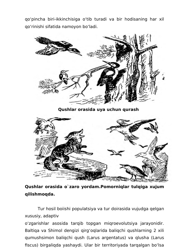 qo‘pincha biri-ikkinchisiga o‘tib turadi va bir hodisaning har xil
qo‘rinishi sifatida namoyon bo‘ladi. 
Qushlar orasida uya uchun qurash
Qushlar orasida o`zaro yordam.Pomorniqlar tulqiga xujum
qilishmoqda.
         Tur hosil boiishi populatsiya va tur doirasida vujudga qelgan
xususiy, adaptiv
o‘zgarishlar  asosida  tarqib  topgan  miqroevolutsiya  jarayonidir.
Baltiqa va Shimol dengizi qirg‘oqlarida baliqchi qushlarning 2 xili
qumushsimon baliqchi qush (Larus argentatus) va qlusha (Larus
fiscus) birgaliqda yashaydi. Ular bir territoriyada tarqalgan bo‘lsa
