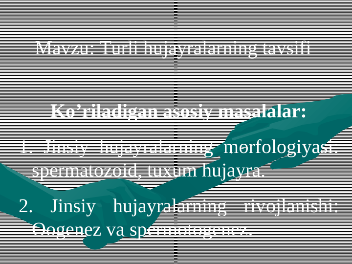 Mavzu: Turli hujayralarning tavsifi
Ko’riladigan asosiy masalalar:
1. Jinsiy hujayralarning mоrfоlogiyasi: 
spеrmatоzоid, tuxum hujayra. 
2. Jinsiy hujayralarning rivоjlanishi: 
Ооgenez va spеrmоtоgenez. 
