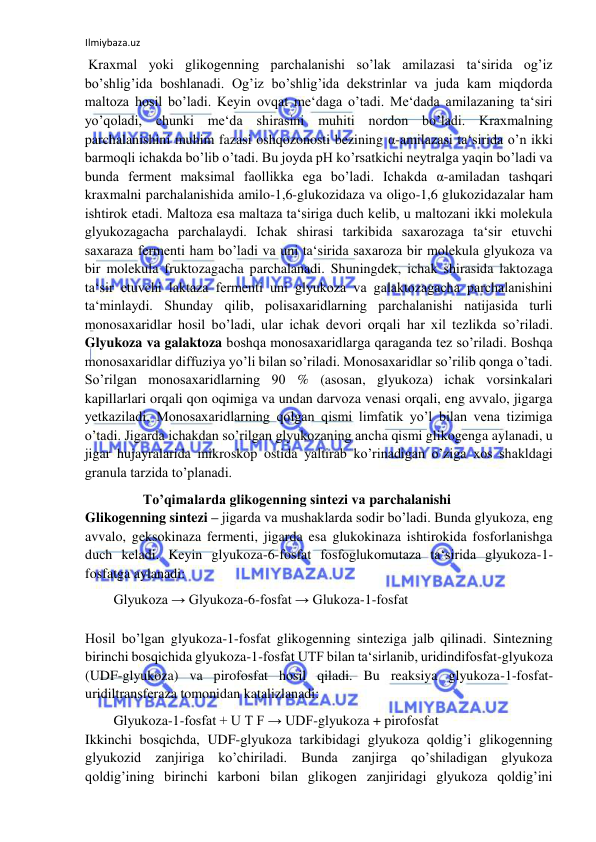 Ilmiybaza.uz 
 
 Kraxmal yoki glikogenning parchalanishi so’lak amilazasi ta‘sirida og’iz 
bo’shlig’ida boshlanadi. Og’iz bo’shlig’ida dekstrinlar va juda kam miqdorda 
maltoza hosil bo’ladi. Keyin ovqat me‘daga o’tadi. Me‘dada amilazaning ta‘siri 
yo’qoladi, chunki me‘da shirasini muhiti nordon bo’ladi. Kraxmalning 
parchalanishini muhim fazasi oshqozonosti bezining α-amilazasi ta‘sirida o’n ikki 
barmoqli ichakda bo’lib o’tadi. Bu joyda pH ko’rsatkichi neytralga yaqin bo’ladi va 
bunda ferment maksimal faollikka ega bo’ladi. Ichakda α-amiladan tashqari 
kraxmalni parchalanishida amilo-1,6-glukozidaza va oligo-1,6 glukozidazalar ham 
ishtirok etadi. Maltoza esa maltaza ta‘siriga duch kelib, u maltozani ikki molekula 
glyukozagacha parchalaydi. Ichak shirasi tarkibida saxarozaga ta‘sir etuvchi 
saxaraza fermenti ham bo’ladi va uni ta‘sirida saxaroza bir molekula glyukoza va 
bir molekula fruktozagacha parchalanadi. Shuningdek, ichak shirasida laktozaga 
ta‘sir etuvchi laktaza fermenti uni glyukoza va galaktozagacha parchalanishini 
ta‘minlaydi. Shunday qilib, polisaxaridlarning parchalanishi natijasida turli 
monosaxaridlar hosil bo’ladi, ular ichak devori orqali har xil tezlikda so’riladi. 
Glyukoza va galaktoza boshqa monosaxaridlarga qaraganda tez so’riladi. Boshqa 
monosaxaridlar diffuziya yo’li bilan so’riladi. Monosaxaridlar so’rilib qonga o’tadi. 
So’rilgan monosaxaridlarning 90 % (asosan, glyukoza) ichak vorsinkalari 
kapillarlari orqali qon oqimiga va undan darvoza venasi orqali, eng avvalo, jigarga 
yetkaziladi. Monosaxaridlarning qolgan qismi limfatik yo’l bilan vena tizimiga 
o’tadi. Jigarda ichakdan so’rilgan glyukozaning ancha qismi glikogenga aylanadi, u 
jigar hujayralarida mikroskop ostida yaltirab ko’rinadigan o’ziga xos shakldagi 
granula tarzida to’planadi.  
 To’qimalarda glikogenning sintezi va parchalanishi  
Glikogenning sintezi – jigarda va mushaklarda sodir bo’ladi. Bunda glyukoza, eng 
avvalo, geksokinaza fermenti, jigarda esa glukokinaza ishtirokida fosforlanishga 
duch keladi. Keyin glyukoza-6-fosfat fosfoglukomutaza ta‘sirida glyukoza-1-
fosfatga aylanadi:  
Glyukoza → Glyukoza-6-fosfat → Glukoza-1-fosfat  
  
Hosil bo’lgan glyukoza-1-fosfat glikogenning sinteziga jalb qilinadi. Sintezning 
birinchi bosqichida glyukoza-1-fosfat UTF bilan ta‘sirlanib, uridindifosfat-glyukoza 
(UDF-glyukoza) va pirofosfat hosil qiladi. Bu reaksiya glyukoza-1-fosfat-
uridiltransferaza tomonidan katalizlanadi: 
Glyukoza-1-fosfat + U T F → UDF-glyukoza + pirofosfat  
Ikkinchi bosqichda, UDF-glyukoza tarkibidagi glyukoza qoldig’i glikogenning 
glyukozid zanjiriga ko’chiriladi. Bunda zanjirga qo’shiladigan glyukoza 
qoldig’ining birinchi karboni bilan glikogen zanjiridagi glyukoza qoldig’ini 
