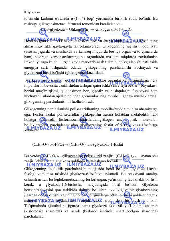 Ilmiybaza.uz 
 
to’rtinchi karboni o’rtasida α-(1→4) bog’ yordamida birikish sodir bo’ladi. Bu 
reaksiya glikogensintetaza fermenti tomonidan katalizlanadi:  
 UDF-glyukoza + Glikogen (n) → Glikogen (n+1) + UDF.  
  
Hosil bo’lgan UDF ATF hisobiga fosforlanadi va shu yo’sinda glyukoza-1fosfatning 
almashinuv sikli qayta-qayta takrorlanaveradi. Glikogenning yig’ilishi qobiliyati 
(asosan, jigarda va mushakda va kamroq miqdorda boshqa organ va to’qimalarda 
ham) hisobiga karbonsuvlarning bu organlarda ma‘lum miqdorda zaxiralanish 
imkoni yuzaga keladi. Organizmda markaziy asab tizimini qo’zg’alanishi natijasida 
energiya sarfi oshganda, odatda, glikogenning parchalanishi kuchayadi va 
glyukozani hosil bo’lishi (glukogenez) kuzatiladi.  
 Markaziy asab tizimini qo’zg’alanishida effektor organlar va to’qimalarga nerv 
impulslarini bevosita uzatilishidan tashqari qator ichki sekretsiya bezlari (buyrakusti 
bezini mag’iz qismi, qalqonsimon bez, gipofiz va boshqalar)ni funksiyasi ham 
kuchayadi, ulardan ajralib chiqqan gormonlar, eng avvalo, jigar va mushaklardagi 
glikogenning parchalanishini faollashtiradi.  
Glikogenning parchalanishi polisaxaridlarning mobillashuvida muhim ahamiyatga 
ega. Fosforilazalar polisaxaridlar (glikogen)ni zaxira holatdan metabolitik faol 
holatga o’tkazadi; fosforilaza ishtirokida glikogen ancha yirik molekulali 
bo’laklargacha parchalanmasdan glyukozaning fosfat efiri (glyukoza-1fosfat)ga 
aylanadi:  
  
(С6Н10О5) п+Н3РО4 → (С6Н10О5) (n-1) +glyukoza-1-fosfat  
  
Bu yerda: (С6Н10О5)n -glikogenning polisaxarid zanjiri, (С6Н10О5)(n-1) – aynan shu 
zanjir, lekin u bitta glyukoza qoldiqqa kaltalashgan bo’ladi.  
Glikogenning fosfolitik parchalanishi natijasida hosil bo’lgan glyukoza-1fosfat 
fosfoglukomutaza ta‘sirida glyukoza-6-fosfatga aylanadi. Bu reaksiyani amalga 
oshirish uchun fosfoglukomutazaning fosforlangan, ya‘ni uning faol shakli bo’lishi 
kerak, 
u 
glyukoza-1,6-bisfosfat 
mavjudligida 
hosil 
bo’ladi. 
Glyukoza 
konsentratsiyasini qon tarkibida doimiy bo’lishini ikki xil, ya‘ni: glyukozaning 
jigardan qonga o’tishi va uning qondan to’qimalarga o’tib, birinchi galda energetik 
material sifatida foydalanilishi orqali yuz beradi deb hisoblash mumkin. 
To’qimalarda (jumladan, jigarda ham) glyukoza ikki xil yo’l bilan: anaerob 
(kislorodsiz sharoitda) va aerob (kislorod ishtiroki shart bo’lgan sharoitda) 
parchalanadi.  
