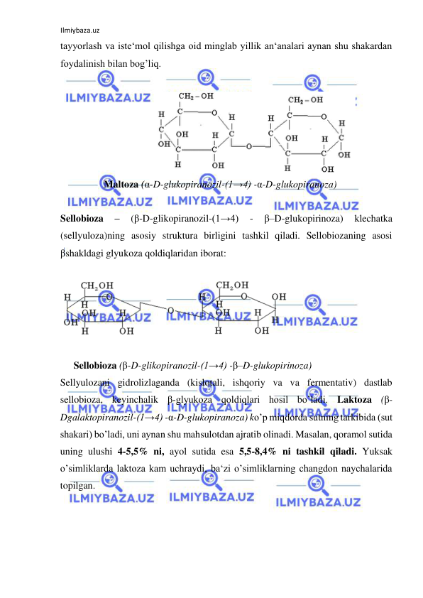 Ilmiybaza.uz 
 
tayyorlash va iste‘mol qilishga oid minglab yillik an‘analari aynan shu shakardan 
foydalinish bilan bog’liq.  
  
  
  Maltoza (α-D-glukopiranozil-(1→4) -α-D-glukopiranoza)  
  
Sellobioza 
– 
(β-D-glikopiranozil-(1→4) 
- 
β–D-glukopirinoza) 
klechatka 
(sellyuloza)ning asosiy struktura birligini tashkil qiladi. Sellobiozaning asosi 
βshakldagi glyukoza qoldiqlaridan iborat:  
  
  
  
Sellobioza (β-D-glikopiranozil-(1→4) -β–D-glukopirinoza)  
Sellyulozani gidrolizlaganda (kislotali, ishqoriy va va fermentativ) dastlab 
sellobioza, keyinchalik β-glyukoza qoldiqlari hosil bo’ladi. Laktoza (β-
Dgalaktopiranozil-(1→4) -α-D-glukopiranoza) ko’p miqdorda sutning tarkibida (sut 
shakari) bo’ladi, uni aynan shu mahsulotdan ajratib olinadi. Masalan, qoramol sutida 
uning ulushi 4-5,5% ni, ayol sutida esa 5,5-8,4% ni tashkil qiladi. Yuksak 
o’simliklarda laktoza kam uchraydi, ba‘zi o’simliklarning changdon naychalarida 
topilgan.  
  
