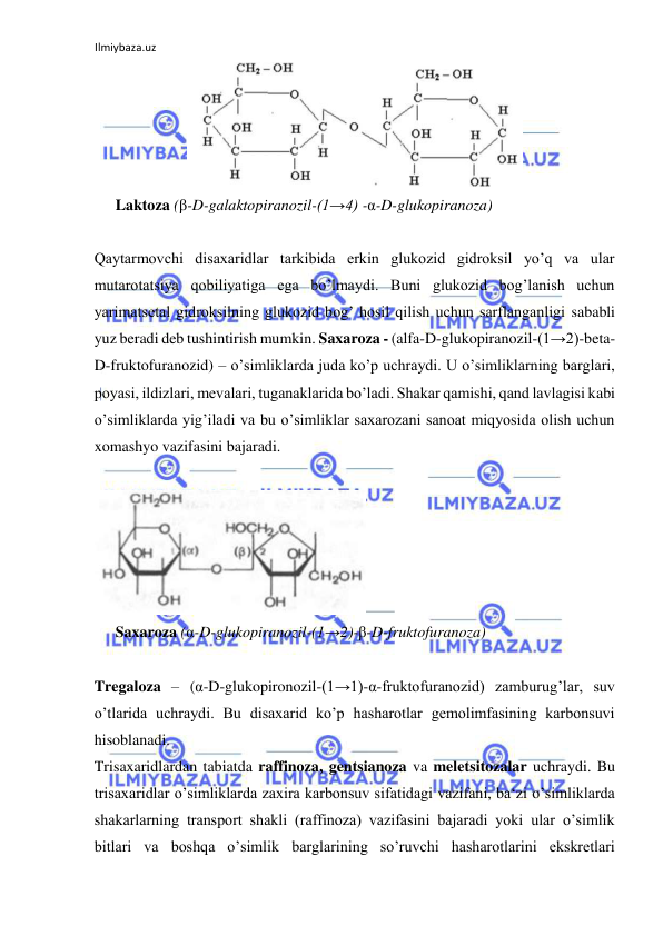 Ilmiybaza.uz 
 
  
Laktoza (β-D-galaktopiranozil-(1→4) -α-D-glukopiranoza)  
  
Qaytarmovchi disaxaridlar tarkibida erkin glukozid gidroksil yo’q va ular 
mutarotatsiya qobiliyatiga ega bo’lmaydi. Buni glukozid bog’lanish uchun 
yarimatsetal gidroksilning glukozid bog’ hosil qilish uchun sarflanganligi sababli 
yuz beradi deb tushintirish mumkin. Saxaroza - (alfa-D-glukopiranozil-(1→2)-beta-
D-fruktofuranozid) – o’simliklarda juda ko’p uchraydi. U o’simliklarning barglari, 
poyasi, ildizlari, mevalari, tuganaklarida bo’ladi. Shakar qamishi, qand lavlagisi kabi 
o’simliklarda yig’iladi va bu o’simliklar saxarozani sanoat miqyosida olish uchun 
xomashyo vazifasini bajaradi.  
  
  
Saxaroza (α-D-glukopiranozil-(1→2)-β-D-fruktofuranoza)  
  
Tregaloza – (α-D-glukopironozil-(1→1)-α-fruktofuranozid) zamburug’lar, suv 
o’tlarida uchraydi. Bu disaxarid ko’p hasharotlar gemolimfasining karbonsuvi 
hisoblanadi.  
Trisaxaridlardan tabiatda raffinoza, gentsianoza va meletsitozalar uchraydi. Bu 
trisaxaridlar o’simliklarda zaxira karbonsuv sifatidagi vazifani, ba‘zi o’simliklarda 
shakarlarning transport shakli (raffinoza) vazifasini bajaradi yoki ular o’simlik 
bitlari va boshqa o’simlik barglarining so’ruvchi hasharotlarini ekskretlari 
