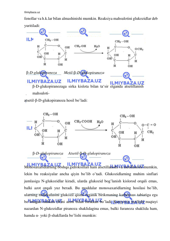 Ilmiybaza.uz 
 
fenollar va h.k.lar bilan almashinishi mumkin. Reaksiya mahsulotini glukozidlar deb 
yuritiladi:  
  
 
  
  β-D-glukopiranoza       Metil-β-D-glukopiranoza  
  
β-D-glukopiranozaga sirka kislota bilan ta‘sir etganda atsetillanish 
mahsuloti- 
atsetil-β-D-glukopiranoza hosil bo’ladi:  
  
 
β-D-glukopiranoza     Atsetil-β-D-glukopiranoza  
  
Monosaxaridlarning boshqa gidroksillari ham atsetillanishi va metillanishi mumkin, 
lekin bu reaksiyalar ancha qiyin bo’lib o’tadi. Glukozidlarning muhim sinflari 
jumlasiga N-glukozidlar kiradi, ularda glukozid bog’lanish kislorod orqali emas, 
balki azot orqali yuz beradi. Bu moddalar monosaxaridlarning hosilasi bo’lib, 
ularning molekulasini glukozil qismi organik birikmaning karbonsuv tabiatiga ega 
bo’lmagan radikali (R)ni azoti bilan birikkan bo’ladi. Kimyoviy tuzilishi nuqtayi 
nazardan N-glukozidlar piranoza shaklidagina emas, balki furanoza shaklida ham, 
hamda α- yoki β-shakllarda bo’lishi mumkin:  
  
