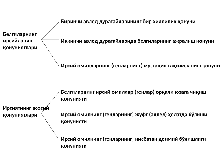 Белгиларнинг 
ирсийланиш 
қонуниятлари
Ирсиятнинг асосий 
қонуниятлари
Биринчи авлод дурагайларининг бир хиллилик қонуни
Иккинчи авлод дурагайларида белгиларнинг ажралиш қонуни
Ирсий омилларнинг (генларнинг) мустақил тақсимланиш қонуни
Белгиларнинг ирсий омиллар (генлар) орқали юзага чиқиш 
қонунияти
Ирсий омилнинг (генларнинг) жуфт (аллел) ҳолатда бўлиши 
қонунияти
Ирсий омилнинг (генларнинг) нисбатан доимий бўлишлиги 
қонунияти
