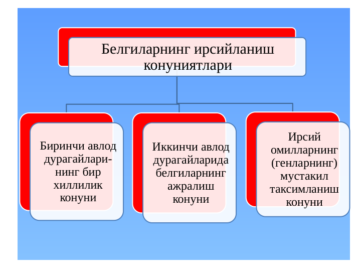 Белгиларнинг ирсийланиш 
конуниятлари
Биринчи авлод 
дурагайлари-
нинг бир 
хиллилик 
конуни
Иккинчи авлод 
дурагайларида 
белгиларнинг 
ажралиш 
конуни
Ирсий 
омилларнинг 
(генларнинг) 
мустакил 
таксимланиш 
конуни
