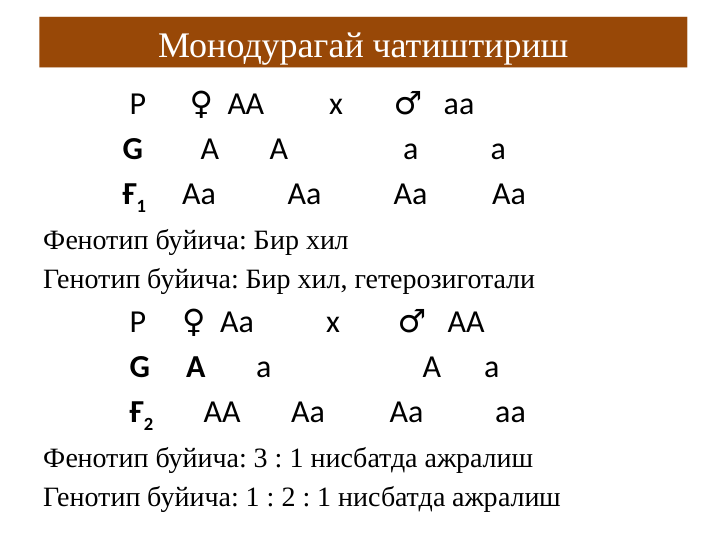 Монодурагай чатиштириш
            Р        АА         х       
   аа
♀
♂
           G        А       А                а          а 
           Ғ1     Аа          Аа          Аа         Аа
Фенотип буйича: Бир хил 
Генотип буйича: Бир хил, гетерозиготали
            Р       Аа          х        
   АА 
♀
♂
            G     А       а                     А      а
            Ғ2       АА       Аа         Аа          аа
Фенотип буйича: 3 : 1 нисбатда ажралиш 
Генотип буйича: 1 : 2 : 1 нисбатда ажралиш
