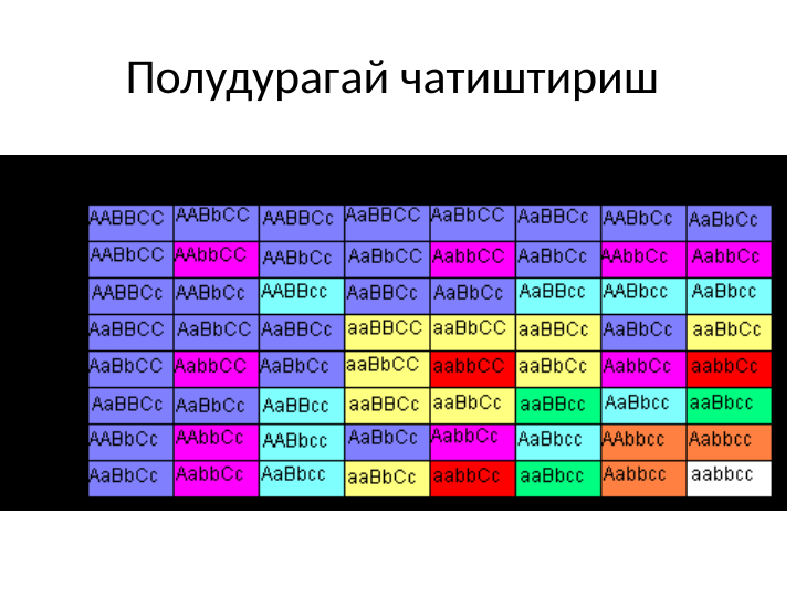 Полудурагай чатиштириш 
