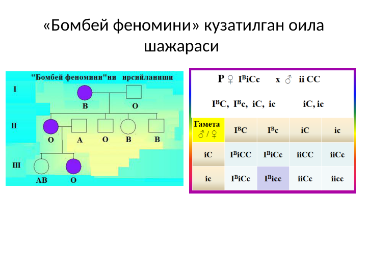 «Бомбей феномини» кузатилган оила 
шажараси 
