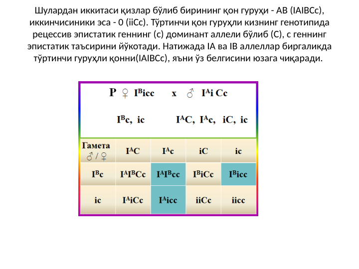 Шулардан иккитаси қизлар бўлиб бирининг қон гуруҳи - АB (IAIBCc), 
иккинчисиники эса - 0 (iiCc). Тўртинчи қон гуруҳли кизнинг генотипида 
рецессив эпистатик геннинг (c) доминант аллели бўлиб (C), c геннинг 
эпистатик таъсирини йўкотади. Натижада IА ва IB аллеллар биргаликда 
тўртинчи гуруҳли қонни(IAIBCc), яъни ўз белгисини юзага чиқаради. 
