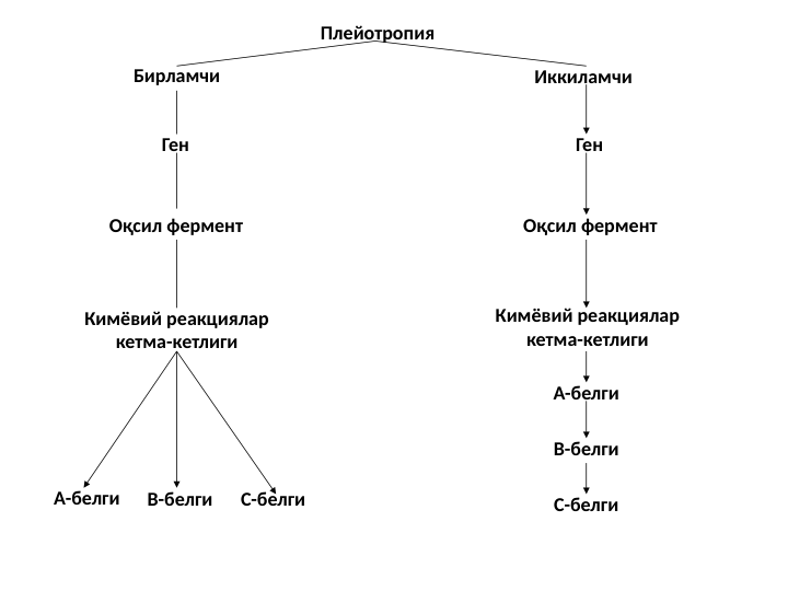 Плейотропия
Бирламчи
Иккиламчи
Ген
Оқсил фермент
Кимёвий реакциялар 
кетма-кетлиги
А-белги
B-белги
C-белги
Ген
Оқсил фермент
Кимёвий реакциялар 
кетма-кетлиги
А-белги
B-белги
C-белги
