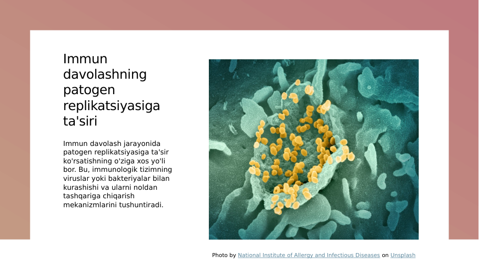Immun 
davolashning 
patogen 
replikatsiyasiga 
ta'siri
Immun davolash jarayonida 
patogen replikatsiyasiga ta'sir 
ko'rsatishning o'ziga xos yo'li 
bor. Bu, immunologik tizimning 
viruslar yoki bakteriyalar bilan 
kurashishi va ularni noldan 
tashqariga chiqarish 
mekanizmlarini tushuntiradi.
Photo by National Institute of Allergy and Infectious Diseases on Unsplash
