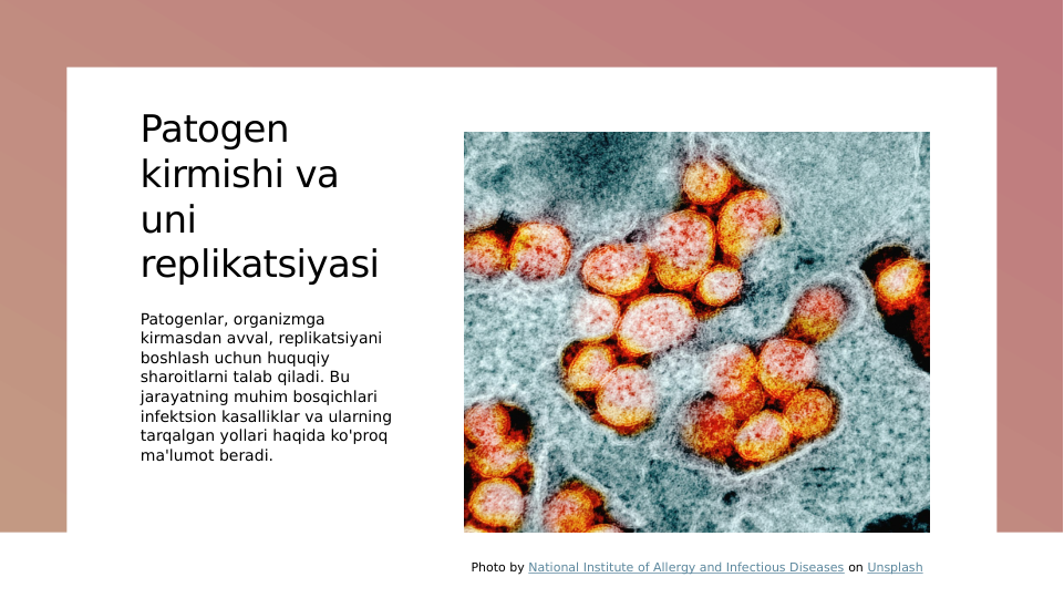 Patogen 
kirmishi va 
uni 
replikatsiyasi
Patogenlar, organizmga 
kirmasdan avval, replikatsiyani 
boshlash uchun huquqiy 
sharoitlarni talab qiladi. Bu 
jarayatning muhim bosqichlari 
infektsion kasalliklar va ularning 
tarqalgan yollari haqida ko'proq 
ma'lumot beradi.
Photo by National Institute of Allergy and Infectious Diseases on Unsplash
