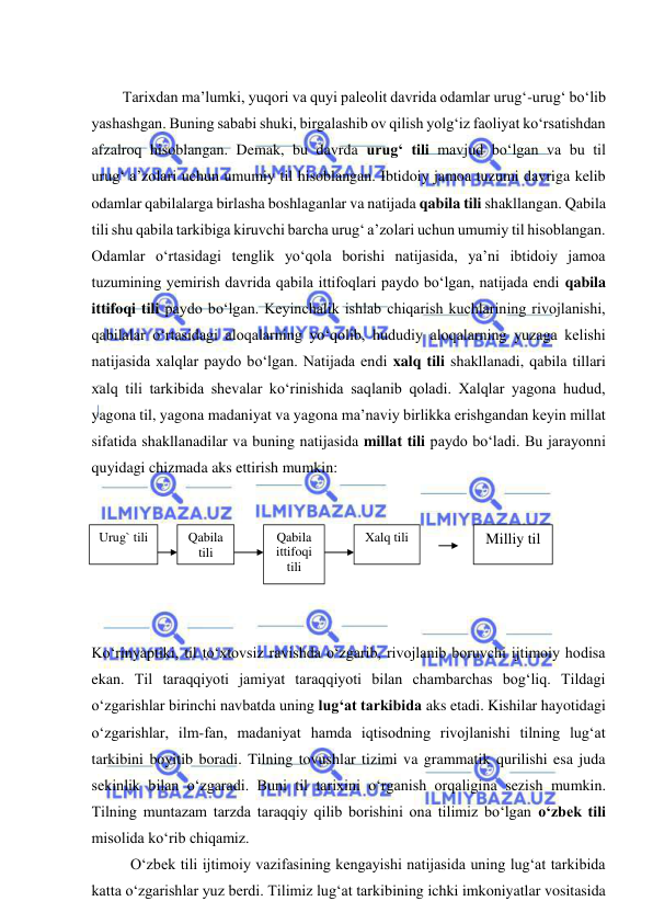  
 
 
Tarixdan ma’lumki, yuqori va quyi paleolit davrida odamlar urug‘-urug‘ bo‘lib 
yashashgan. Buning sababi shuki, birgalashib ov qilish yolg‘iz faoliyat ko‘rsatishdan 
afzalroq hisoblangan. Demak, bu davrda urug‘ tili mavjud bo‘lgan va bu til 
urug‘ a’zolari uchun umumiy til hisoblangan. Ibtidoiy jamoa tuzumi davriga kelib 
odamlar qabilalarga birlasha boshlaganlar va natijada qabila tili shakllangan. Qabila 
tili shu qabila tarkibiga kiruvchi barcha urug‘ a’zolari uchun umumiy til hisoblangan. 
Odamlar o‘rtasidagi tenglik yo‘qola borishi natijasida, ya’ni ibtidoiy jamoa 
tuzumining yemirish davrida qabila ittifoqlari paydo bo‘lgan, natijada endi qabila 
ittifoqi tili paydo bo‘lgan. Keyinchalik ishlab chiqarish kuchlarining rivojlanishi, 
qabilalar o‘rtasidagi aloqalarning yo‘qolib, hududiy aloqalarning yuzaga kelishi 
natijasida xalqlar paydo bo‘lgan. Natijada endi xalq tili shakllanadi, qabila tillari 
xalq tili tarkibida shevalar ko‘rinishida saqlanib qoladi. Xalqlar yagona hudud, 
yagona til, yagona madaniyat va yagona ma’naviy birlikka erishgandan keyin millat 
sifatida shakllanadilar va buning natijasida millat tili paydo bo‘ladi. Bu jarayonni 
quyidagi chizmada aks ettirish mumkin: 
 
 
 
 
 
 
 
Ko‘rinyaptiki, til to‘xtovsiz ravishda o‘zgarib, rivojlanib boruvchi ijtimoiy hodisa 
ekan. Til taraqqiyoti jamiyat taraqqiyoti bilan chambarchas bog‘liq. Tildagi 
o‘zgarishlar birinchi navbatda uning lug‘at tarkibida aks etadi. Kishilar hayotidagi 
o‘zgarishlar, ilm-fan, madaniyat hamda iqtisodning rivojlanishi tilning lug‘at 
tarkibini boyitib boradi. Tilning tovushlar tizimi va grammatik qurilishi esa juda 
sekinlik bilan o‘zgaradi. Buni til tarixini o‘rganish orqaligina sezish mumkin. 
Tilning muntazam tarzda taraqqiy qilib borishini ona tilimiz bo‘lgan o‘zbek tili 
misolida ko‘rib chiqamiz.  
 
O‘zbek tili ijtimoiy vazifasining kengayishi natijasida uning lug‘at tarkibida 
katta o‘zgarishlar yuz berdi. Tilimiz lug‘at tarkibining ichki imkoniyatlar vositasida 
Milliy til 
Xalq tili 
Qabila 
ittifoqi 
tili 
Qabila 
tili 
Urug` tili 
