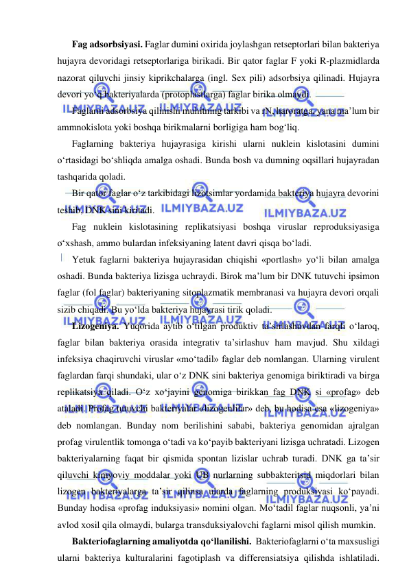  
 
Fag adsorbsiyasi. Faglar dumini oxirida joylashgan retseptorlari bilan bakteriya 
hujayra devoridagi retseptorlariga birikadi. Bir qator faglar F yoki R-plazmidlarda 
nazorat qiluvchi jinsiy kiprikchalarga (ingl. Sex pili) adsorbsiya qilinadi. Hujayra 
devori yo‘q bakteriyalarda (protoplastlarga) faglar birika olmaydi.  
Faglarni adsorbsiya qilinishi muhitning tarkibi va rN, haroratga, yana ma’lum bir 
ammnokislota yoki boshqa birikmalarni borligiga ham bog‘liq.  
Faglarning bakteriya hujayrasiga kirishi ularni nuklein kislotasini dumini 
o‘rtasidagi bo‘shliqda amalga oshadi. Bunda bosh va dumning oqsillari hujayradan 
tashqarida qoladi.  
Bir qator faglar o‘z tarkibidagi lizotsimlar yordamida bakteriya hujayra devorini 
teshib, DNK sini kiritadi.  
Fag nuklein kislotasining replikatsiyasi boshqa viruslar reproduksiyasiga 
o‘xshash, ammo bulardan infeksiyaning latent davri qisqa bo‘ladi.  
Yetuk faglarni bakteriya hujayrasidan chiqishi «portlash» yo‘li bilan amalga 
oshadi. Bunda bakteriya lizisga uchraydi. Birok ma’lum bir DNK tutuvchi ipsimon 
faglar (fol faglar) bakteriyaning sitoplazmatik membranasi va hujayra devori orqali 
sizib chiqadi. Bu yo‘lda bakteriya hujayrasi tirik qoladi.  
Lizogeniya. Yuqorida aytib o‘tilgan produktiv ta’sirlashuvdan farqli o‘laroq, 
faglar bilan bakteriya orasida integrativ ta’sirlashuv ham mavjud. Shu xildagi 
infeksiya chaqiruvchi viruslar «mo‘tadil» faglar deb nomlangan. Ularning virulent 
faglardan farqi shundaki, ular o‘z DNK sini bakteriya genomiga biriktiradi va birga 
replikatsiya qiladi. O‘z xo‘jayini genomiga birikkan fag DNK si «profag» deb 
ataladi. Profag tutuvchi bakteriyalar «lizogenlilar» deb, bu hodisa esa «lizogeniya» 
deb nomlangan. Bunday nom berilishini sababi, bakteriya genomidan ajralgan 
profag virulentlik tomonga o‘tadi va ko‘payib bakteriyani lizisga uchratadi. Lizogen 
bakteriyalarning faqat bir qismida spontan lizislar uchrab turadi. DNK ga ta’sir 
qiluvchi kimyoviy moddalar yoki UB nurlarning subbakteritsid miqdorlari bilan 
lizogen bakteriyalarga ta’sir qilinsa ularda faglarning produksiyasi ko‘payadi.  
Bunday hodisa «profag induksiyasi» nomini olgan. Mo‘tadil faglar nuqsonli, ya’ni 
avlod xosil qila olmaydi, bularga transduksiyalovchi faglarni misol qilish mumkin.  
Bakteriofaglarning amaliyotda qo‘llanilishi.  Bakteriofaglarni o‘ta maxsusligi 
ularni bakteriya kulturalarini fagotiplash va differensiatsiya qilishda ishlatiladi. 
