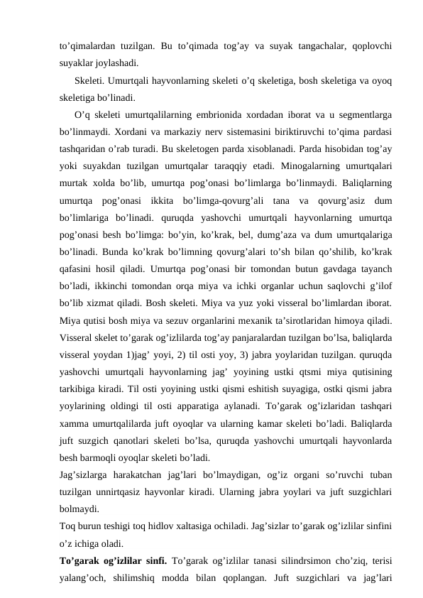 to’qimalardan  tuzilgan.  Bu  to’qimada  tog’ay  va  suyak  tangachalar,  qoplovchi
suyaklar joylashadi.
Skeleti. Umurtqali hayvonlarning skeleti o’q skeletiga, bosh skeletiga va oyoq
skeletiga bo’linadi. 
O’q skeleti umurtqalilarning embrionida xordadan iborat va u segmentlarga
bo’linmaydi. Xordani va markaziy nerv sistemasini biriktiruvchi to’qima pardasi
tashqaridan o’rab turadi. Bu skeletogen parda xisoblanadi. Parda hisobidan tog’ay
yoki  suyakdan  tuzilgan  umurtqalar  taraqqiy  etadi.  Minogalarning  umurtqalari
murtak xolda bo’lib, umurtqa pog’onasi bo’limlarga bo’linmaydi. Baliqlarning
umurtqa  pog’onasi  ikkita  bo’limga-qovurg’ali  tana  va  qovurg’asiz  dum
bo’limlariga  bo’linadi.  quruqda  yashovchi  umurtqali  hayvonlarning  umurtqa
pog’onasi besh bo’limga: bo’yin, ko’krak, bel, dumg’aza va dum umurtqalariga
bo’linadi. Bunda ko’krak bo’limning qovurg’alari to’sh bilan qo’shilib, ko’krak
qafasini hosil qiladi. Umurtqa pog’onasi bir tomondan butun gavdaga tayanch
bo’ladi, ikkinchi tomondan orqa miya va ichki organlar uchun saqlovchi g’ilof
bo’lib xizmat qiladi. Bosh skeleti. Miya va yuz yoki visseral bo’limlardan iborat.
Miya qutisi bosh miya va sezuv organlarini mexanik ta’sirotlaridan himoya qiladi.
Visseral skelet to’garak og’izlilarda tog’ay panjaralardan tuzilgan bo’lsa, baliqlarda
visseral yoydan 1)jag’ yoyi, 2) til osti yoy, 3) jabra yoylaridan tuzilgan. quruqda
yashovchi  umurtqali  hayvonlarning  jag’  yoyining  ustki  qtsmi  miya  qutisining
tarkibiga kiradi. Til osti yoyining ustki qismi eshitish suyagiga, ostki qismi jabra
yoylarining oldingi til osti  apparatiga aylanadi. To’garak og’izlaridan tashqari
xamma umurtqalilarda juft oyoqlar va ularning kamar skeleti bo’ladi. Baliqlarda
juft suzgich qanotlari skeleti bo’lsa, quruqda yashovchi umurtqali hayvonlarda
besh barmoqli oyoqlar skeleti bo’ladi.
Jag’sizlarga  harakatchan  jag’lari  bo’lmaydigan,  og’iz  organi  so’ruvchi  tuban
tuzilgan unnirtqasiz hayvonlar kiradi. Ularning jabra yoylari va juft suzgichlari
bolmaydi. 
Toq burun teshigi toq hidlov xaltasiga ochiladi. Jag’sizlar to’garak og’izlilar sinfini
o’z ichiga oladi.
To’garak og’izlilar sinfi. To’garak og’izlilar tanasi silindrsimon cho’ziq, terisi
yalang’och,  shilimshiq  modda  bilan  qoplangan.  Juft  suzgichlari  va  jag’lari
