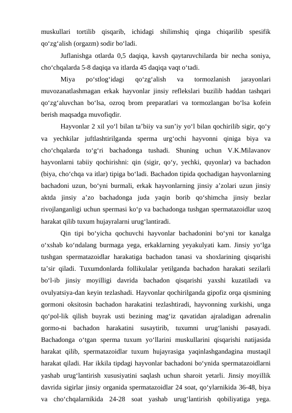 muskullari  tortilib  qisqarib,  ichidagi  shilimshiq  qinga  chiqarilib  spesifik
qo‘zg‘alish (orgazm) sodir bo‘ladi.
Juflanishga otlarda 0,5 daqiqa, kavsh qaytaruvchilarda bir necha soniya,
cho‘chqalarda 5-8 daqiqa va itlarda 45 daqiqa vaqt o‘tadi.
Miya  po‘stlog‘idagi  qo‘zg‘alish  va  tormozlanish  jarayonlari
muvozanatlashmagan erkak hayvonlar jinsiy reflekslari buzilib haddan tashqari
qo‘zg‘aluvchan bo‘lsa, ozroq brom preparatlari va tormozlangan bo‘lsa kofein
berish maqsadga muvofiqdir.
Hayvonlar 2 xil yo‘l bilan ta’biiy va sun’iy yo‘l bilan qochirilib sigir, qo‘y
va  yechkilar  juftlashtirilganda  sperma  urg‘ochi  hayvonni  qiniga  biya  va
cho‘chqalarda  to‘g‘ri  bachadonga  tushadi.  Shuning  uchun  V.K.Milavanov
hayvonlarni tabiiy qochirishni: qin (sigir, qo‘y, yechki, quyonlar) va bachadon
(biya, cho‘chqa va itlar) tipiga bo‘ladi. Bachadon tipida qochadigan hayvonlarning
bachadoni uzun, bo‘yni burmali, erkak hayvonlarning jinsiy a’zolari uzun jinsiy
aktda  jinsiy  a’zo  bachadonga  juda  yaqin  borib  qo‘shimcha  jinsiy  bezlar
rivojlanganligi uchun spermasi ko‘p va bachadonga tushgan spermatazoidlar uzoq
harakat qilib tuxum hujayralarni urug‘lantiradi.
Qin tipi  bo‘yicha  qochuvchi  hayvonlar  bachadonini  bo‘yni  tor  kanalga
o‘xshab ko‘ndalang burmaga yega, erkaklarning yeyakulyati kam. Jinsiy yo‘lga
tushgan spermatazoidlar  harakatiga  bachadon tanasi  va shoxlarining qisqarishi
ta’sir qiladi. Tuxumdonlarda follikulalar yetilganda bachadon harakati sezilarli
bo‘l-ib  jinsiy  moyilligi  davrida  bachadon  qisqarishi  yaxshi  kuzatiladi  va
ovulyatsiya-dan keyin tezlashadi. Hayvonlar qochirilganda gipofiz orqa qismining
gormoni oksitosin bachadon harakatini tezlashtiradi, hayvonning xurkishi, unga
qo‘pol-lik  qilish  buyrak  usti  bezining  mag‘iz  qavatidan  ajraladigan  adrenalin
gormo-ni  bachadon  harakatini  susaytirib,  tuxumni  urug‘lanishi  pasayadi.
Bachadonga  o‘tgan  sperma  tuxum  yo‘llarini  muskullarini  qisqarishi  natijasida
harakat  qilib,  spermatazoidlar  tuxum  hujayrasiga  yaqinlashgandagina  mustaqil
harakat qiladi. Har ikkila tipdagi hayvonlar bachadoni bo‘ynida spermatazoidlarni
yashab urug‘lantirish xususiyatini saqlash uchun sharoit yetarli. Jinsiy moyillik
davrida sigirlar jinsiy organida spermatazoidlar 24 soat, qo‘ylarnikida 36-48, biya
va  cho‘chqalarnikida  24-28  soat  yashab  urug‘lantirish  qobiliyatiga  yega.
