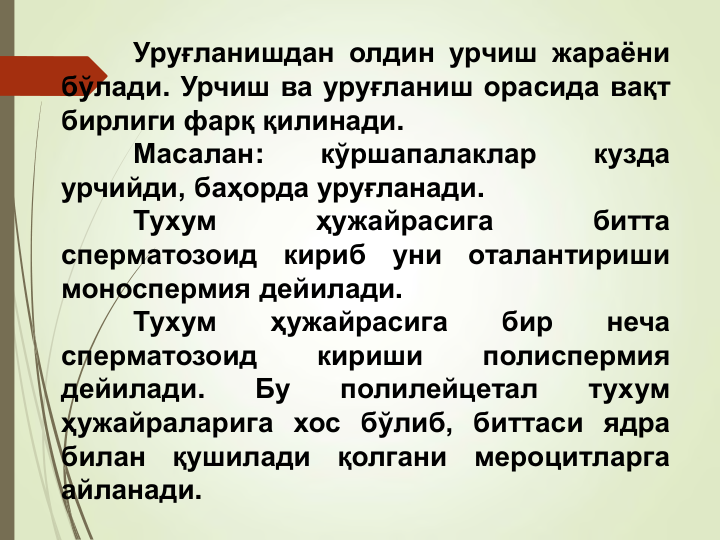 Уруғланишдан олдин урчиш жараёни
бўлади. Урчиш ва уруғланиш орасида вақт
бирлиги фарқ қилинади.
Масалан:
кўршапалаклар
кузда
урчийди, баҳорда уруғланади.
Тухум
ҳужайрасига
битта
сперматозоид
кириб
уни
оталантириши
моноспермия дейилади.
Тухум
ҳужайрасига
бир
неча
сперматозоид
кириши
полиспермия
дейилади.
Бу
полилейцетал
тухум
ҳужайраларига хос бўлиб, биттаси ядра
билан
қушилади
қолгани
мероцитларга
айланади.
