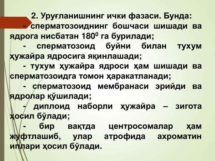 2. Уруғланишнинг ички фазаси. Бунда:
- сперматозоиднинг бошчаси шишади ва
ядрога нисбатан 1800 га бурилади;
-
сперматозоид
буйни
билан
тухум
ҳужайра ядросига яқинлашади;
- тухум ҳужайра ядроси ҳам шишади ва
сперматозоидга томон ҳаракатланади;
- сперматозоид мембранаси эрийди ва
ядролар қўшилади;
-
диплоид
наборли
ҳужайра
–
зигота
ҳосил бўлади;
-
бир
вақтда
центросомалар
ҳам
жуфтлашиб,
улар
атрофида
ахроматин
иплари ҳосил бўлади.
