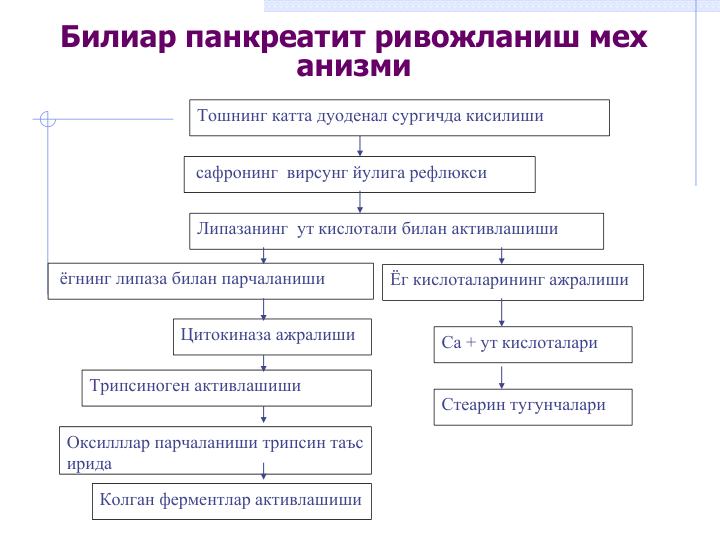 Билиар панкреатит ривожланиш мех
анизми 
сафронинг  вирсунг йулига рефлюкси
Липазанинг  ут кислотали билан активлашиши
ёгнинг липаза билан парчаланиши
Цитокиназа ажралиши 
Ёг кислоталарининг ажралиши 
Трипсиноген активлашиши 
Оксилллар парчаланиши трипсин таъс
ирида 
Колган ферментлар активлашиши 
Ca + ут кислоталари 
Стеарин тугунчалари
Тошнинг катта дуоденал сургичда кисилиши
