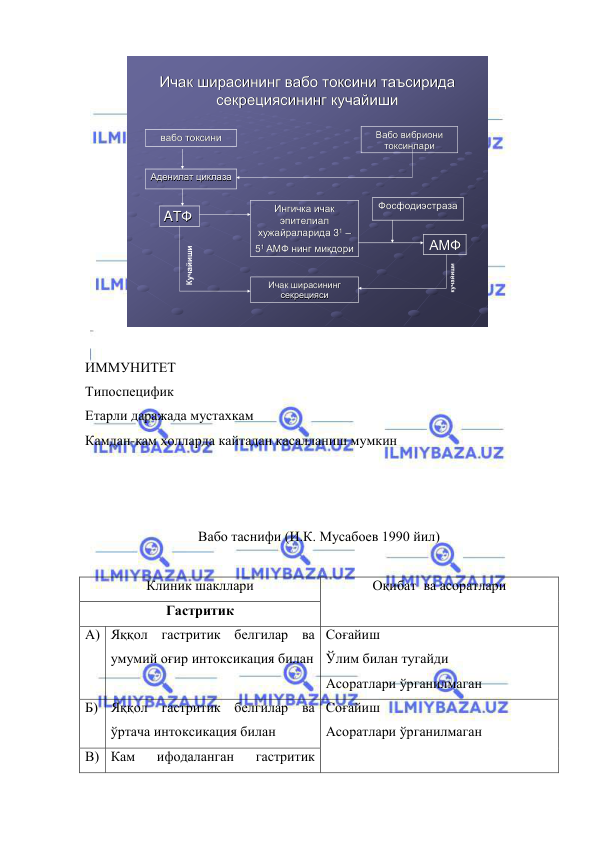  
 
            
Ичак
Ичак ширасининг
ширасининг вабо
вабо токсини
токсини таъсирида
таъсирида
секрециясининг
секрециясининг кучайиши
кучайиши
вабо
вабо токсин
токсинии
Вабо
Вабо вибриони
вибриони
токсинлари
токсинлари
Аденилат
Аденилат циклаза
циклаза
AAТФ
ТФ
Ингичка
Ингичка ичак
ичак
эпителиал
эпителиал
хужайраларида
хужайраларида 3311 ––
551 
1 АМФ
АМФ нинг
нинг миқдори
миқдори
Ичак
Ичак ширасининг
ширасининг
секрецияси
секрецияси
Фосфодиэстраза
Фосфодиэстраза
АМФ
АМФ
Кучайиши
кучайиши
  
 
ИММУНИТЕТ 
Типоспецифик  
Етарли даражада мустахкам 
Камдан-кам ҳолларда кайтадан касалланиш мумкин 
 
 
 
Вабо таснифи (И.К. Мусабоев 1990 йил) 
 
Клиник шакллари 
Оқибат  ва асоратлари 
Гастритик 
А) Яққол гастритик белгилар ва 
умумий оғир интоксикация билан  
Соғайиш 
Ўлим билан тугайди 
Асоратлари ўрганилмаган  
Б) Яққол гастритик белгилар ва 
ўртача интоксикация билан 
Соғайиш 
Асоратлари ўрганилмаган  
В) Кам 
ифодаланган 
гастритик 
