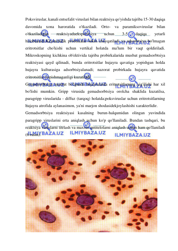  
 
Poksviruslar, kanali entsefalit viruslari bilan reaktsiya qo'yishda tajriba 15-30 daqiqa 
davomida xona haroratida o'tkaziladi. Orto- va paramiksoviruslar bilan 
o'tkaziladigan 
reaktsiyadaekspozitsiya 
uchun 
3-5 
daqiqa 
yetarli 
hisoblanadi.Keyinchalik probirkalar sekin chayqatiladi va adsorbtsiya bo'lmagan 
eritrotsitlar cho'kishi uchun vertikal holatda ma'lum bir vaqt qoldiriladi. 
Mikroskopning kichkina ob'ektivida tajriba probirkalarida musbat gemadsorbtsiya 
reaktsiyasi qayd qilinadi, bunda eritrotsitlar hujayra qavatiga yopishgan holda 
hujayra kulturasiga adsorbtsiyalanadi; nazorat probirkada hujayra qavatida 
eritrotsitlar yopishmaganligi kuzatiladi. 
Gemadsorbtsiya musbat bo'lganda hujayralarda eritrotsitlarning yig'ilishi har xil 
bo'lishi mumkin. Gripp virusida gemadsorbtsiya orolcha shaklida kuzatilsa, 
paragripp viruslarida - diffuz (tarqoq) holatda;poksviruslar uchun eritrotsitlarning 
hujayra atrofida aylanasimon, ya'ni marjon shodasidekjoylashishi xarakterlidir. 
Gemadsorbtsiya reaktsiyasi kasalning burun-halqumidan olingan yuvindida 
paragripp viruslarini erta aniqlash uchun ko'p qo'llaniladi. Bundan tashqari, bu 
reaktsiya viruslarni titrlash va maxsus antitelolarni aniqlash uchun ham qo'llaniladi 
(6-rasm). 
 
