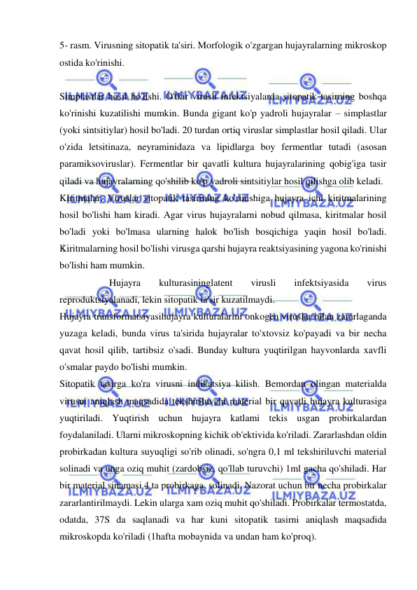  
 
5- rasm. Virusning sitopatik ta'siri. Morfologik o'zgargan hujayralarning mikroskop 
ostida ko'rinishi. 
 
Simplastlar hosil bo'lishi. O'tkir virusli infektsiyalarda sitopatik tasirning boshqa 
ko'rinishi kuzatilishi mumkin. Bunda gigant ko'p yadroli hujayralar – simplastlar 
(yoki sintsitiylar) hosil bo'ladi. 20 turdan ortiq viruslar simplastlar hosil qiladi. Ular 
o'zida letsitinaza, neyraminidaza va lipidlarga boy fermentlar tutadi (asosan 
paramiksoviruslar). Fermentlar bir qavatli kultura hujayralarining qobig'iga tasir 
qiladi va hujayralarning qo'shilib ko'p yadroli sintsitiylar hosil qilishga olib keladi.  
Kiritmalar. Viruslar sitopatik tasirining ko'rinishiga hujayra ichi kiritmalarining 
hosil bo'lishi ham kiradi. Agar virus hujayralarni nobud qilmasa, kiritmalar hosil 
bo'ladi yoki bo'lmasa ularning halok bo'lish bosqichiga yaqin hosil bo'ladi. 
Kiritmalarning hosil bo'lishi virusga qarshi hujayra reaktsiyasining yagona ko'rinishi 
bo'lishi ham mumkin.  
 
 
Hujayra 
kulturasininglatent 
virusli 
infektsiyasida 
virus 
reproduktsiyalanadi, lekin sitopatik ta'sir kuzatilmaydi.  
Hujayra transformatsiyasihujayra kulturalarini onkogen viruslar bilan zararlaganda 
yuzaga keladi, bunda virus ta'sirida hujayralar to'xtovsiz ko'payadi va bir necha 
qavat hosil qilib, tartibsiz o'sadi. Bunday kultura yuqtirilgan hayvonlarda xavfli 
o'smalar paydo bo'lishi mumkin.  
Sitopatik tasirga ko'ra virusni indikatsiya kilish. Bemordan olingan materialda 
virusni aniqlash maqsadida tekshiriluvchi material bir qavatli hujayra kulturasiga 
yuqtiriladi. Yuqtirish uchun hujayra katlami tekis usgan probirkalardan 
foydalaniladi. Ularni mikroskopning kichik ob'ektivida ko'riladi. Zararlashdan oldin 
probirkadan kultura suyuqligi so'rib olinadi, so'ngra 0,1 ml tekshiriluvchi material 
solinadi va unga oziq muhit (zardobsiz, qo'llab turuvchi) 1ml gacha qo'shiladi. Har 
bir material sinamasi 4 ta probirkaga  solinadi. Nazorat uchun bir necha probirkalar 
zararlantirilmaydi. Lekin ularga xam oziq muhit qo'shiladi. Probirkalar termostatda, 
odatda, 37S da saqlanadi va har kuni sitopatik tasirni aniqlash maqsadida 
mikroskopda ko'riladi (1hafta mobaynida va undan ham ko'proq). 
