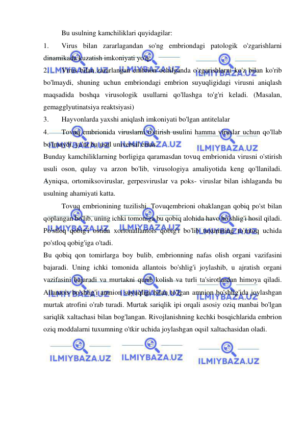  
 
 
Bu usulning kamchiliklari quyidagilar: 
1. 
Virus bilan zararlagandan so'ng embriondagi patologik o'zgarishlarni 
dinamikada kuzatish imkoniyati yo'q; 
2. 
Virus bilan zararlangan embrion ochilganda o'zgarishlarni ko'z bilan ko'rib 
bo'lmaydi, shuning uchun embriondagi embrion suyuqligidagi virusni aniqlash 
maqsadida boshqa virusologik usullarni qo'llashga to'g'ri keladi. (Masalan, 
gemagglyutinatsiya reaktsiyasi)  
3. 
Hayvonlarda yaxshi aniqlash imkoniyati bo'lgan antitelalar  
4. 
Tovuq embrionida viruslarni o'stirish usulini hamma viruslar uchun qo'llab 
bo'lmaydi, ya'ni bu usul universal emas. 
Bunday kamchiliklarning borligiga qaramasdan tovuq embrionida virusni o'stirish 
usuli oson, qulay va arzon bo'lib, virusologiya amaliyotida keng qo'llaniladi. 
Ayniqsa, ortomiksoviruslar, gerpesviruslar va poks- viruslar bilan ishlaganda bu 
usulning ahamiyati katta. 
 
Tovuq embrionining tuzilishi. Tovuqembrioni ohaklangan qobiq po'st bilan 
qoplangan bo'lib, uning ichki tomoniga bu qobiq alohida havo bo'shlig'i hosil qiladi. 
Po'stloq qobig'i ostida xorionallantois qobig'i bo'lib tuxumning to'mtoq uchida 
po'stloq qobig'iga o'tadi. 
Bu qobiq qon tomirlarga boy bulib, embrionning nafas olish organi vazifasini 
bajaradi. Uning ichki tomonida allantois bo'shlig'i joylashib, u ajratish organi 
vazifasini bajaradi va murtakni qurib kolish va turli ta'sirotlardan himoya qiladi. 
Allantois bo'shlig'i amnion suyuqligi bilan to'lgan amnion bo'shlig'ida joylashgan 
murtak atrofini o'rab turadi. Murtak sariqlik ipi orqali asosiy oziq manbai bo'lgan 
sariqlik xaltachasi bilan bog'langan. Rivojlanishning kechki bosqichlarida embrion 
oziq moddalarni tuxumning o'tkir uchida joylashgan oqsil xaltachasidan oladi.  
