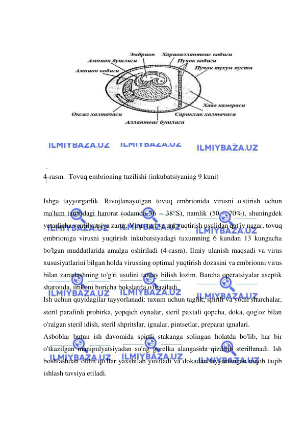  
 
 
 
  
4-rasm.  Tovuq embrioning tuzilishi (inkubatsiyaning 9 kuni) 
 
Ishga tayyorgarlik. Rivojlanayotgan tovuq embrionida virusni o'stirish uchun 
ma'lum tartibdagi harorat (odamda 36 – 38°S), namlik (50 – 70%), shuningdek 
yetarlicha ventilyatsiya zarur. Virus turi va uni yuqtirish usulidan qat'iy nazar, tovuq 
embrioniga virusni yuqtirish inkubatsiyadagi tuxumning 6 kundan 13 kungacha 
bo'lgan muddatlarida amalga oshiriladi (4-rasm). Ilmiy ulanish maqsadi va virus 
xususiyatlarini bilgan holda virusning optimal yuqtirish dozasini va embrionni virus 
bilan zararlashning to'g'ri usulini tanlay bilish lozim. Barcha operatsiyalar aseptik 
sharoitda, imkoni boricha bokslarda o'tkaziladi.  
Ish uchun quyidagilar tayyorlanadi: tuxum uchun taglik, spirtli va yodli sharchalar, 
steril parafinli probirka, yopqich oynalar, steril paxtali qopcha, doka, qog'oz bilan 
o'ralgan steril idish, steril shpritslar, ignalar, pintsetlar, preparat ignalari.  
Asboblar butun ish davomida spirtli stakanga solingan holatda bo'lib, har bir 
o'tkazilgan manipulyatsiyadan so'ng gorelka alangasida qizdirib sterillanadi. Ish 
boshlashdan oldin qo'llar yaxshilab yuviladi va dokadan tayyorlangan niqob taqib 
ishlash tavsiya etiladi.  
