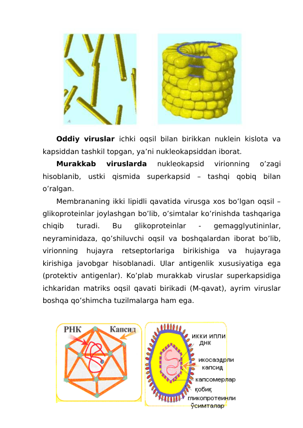 Oddiy viruslar  ichki oqsil bilan birikkan nuklein kislota va
kapsiddan tashkil topgan, ya’ni nukleokapsiddan iborat.
Murakkab  viruslarda
 nukleokapsid  virionning  o’zagi
hisoblanib,  ustki  qismida  superkapsid  –  tashqi  qobiq  bilan
o’ralgan. 
Membrananing ikki lipidli qavatida virusga xos bo’lgan oqsil –
glikoproteinlar joylashgan bo’lib, o’simtalar ko’rinishda tashqariga
chiqib  turadi.  Bu  glikoproteinlar  -  gemagglyutininlar,
neyraminidaza, qo’shiluvchi oqsil va boshqalardan iborat bo’lib,
virionning  hujayra  retseptorlariga  birikishiga  va  hujayraga
kirishiga  javobgar  hisoblanadi.  Ular  antigenlik xususiyatiga  ega
(protektiv antigenlar). Ko’plab murakkab viruslar superkapsidiga
ichkaridan matriks oqsil qavati birikadi (M-qavat), ayrim viruslar
boshqa qo’shimcha tuzilmalarga ham ega. 
