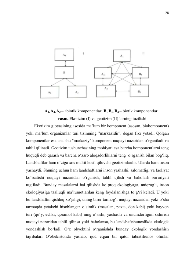 28 
 
 
 
    
 
A1, A2, A3 – abiotik komponentlar; B, B1, B2 – biotik komponentlar. 
-rasm. Ekotizim (I) va geotizim (II) larning tuzilishi 
Ekotizim g‘oyasining asosida ma’lum bir komponent (asosan, biokomponent) 
yoki ma’lum organizmlar turi tizimning "markazidir", degan fikr yotadi. Qolgan 
komponentlar esa ana shu "markaziy" komponent nuqtayi nazaridan o‘rganiladi va 
tahlil qilinadi. Geotizim tushunchasining mohiyati esa barcha komponentlarni teng 
huquqli deb qarash va barcha o‘zaro aloqadorliklarni teng  o‘rganish bilan bog‘liq. 
Landshaftlar ham o‘ziga xos muhit hosil qiluvchi geotizimlardir. Ularda ham inson 
yashaydi. Shuning uchun ham landshaftlarni inson yashashi, salomatligi va faoliyat 
ko‘rsatishi nuqtayi nazaridan o‘rganish, tahlil qilish va baholash zaruriyati 
tug‘iladi. Bunday masalalarni hal qilishda ko‘proq ekologiyaga, aniqrog‘i, inson 
ekologiyasiga taalluqli ma’lumotlardan keng foydalanishga to‘g‘ri keladi. U yoki 
bu landshaftni qishloq xo‘jaligi, uning biror tarmog‘i nuqtayi nazaridan yoki o‘sha 
tarmoqda yetakchi hisoblangan o‘simlik (masalan, paxta, don kabi) yoki hayvon 
turi (qo‘y, echki, qoramol kabi) ning o‘sishi, yashashi va unumdorligini oshirish 
nuqtayi nazaridan tahlil qilinsa yoki baholansa, bu landshaftshunoslikda ekologik  
yondashish bo‘ladi. O‘z obyektini o‘rganishda bunday ekologik yondashish 
tajribalari O‘zbekistonda yashab, ijod etgan bir qator tabiatshunos olimlar 
