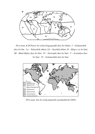  
38-a-rasm. K.M.Petrov bo‘yicha biogeografik shox bo‘limlar: I – Golantarktik 
shox bo‘lim:  I,a -  Palearktik oblast; I,b – Nearktik oblast; II – Efiop o‘ox bo‘limi;  
III – Hind-Malay shox bo‘limi;  IV – Neotropik shox bo‘limi;  V – Avstraliya shox 
bo‘limi;  VI – Golantarktik shox bo‘limi. 
 
 
38-b-rasm. Sox bo‘yicha faunistik rayonlashtirsh (2001) 
 
