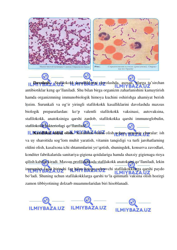  
 
 
 
Davolash.  Stafilokokk kasalliklarini davolashda, asosan, ularga ta’sirchan 
antibiotiklar keng qo‘llaniladi. Shu bilan birga organizm zaharlanishini kamaytirish 
hamda organizmning immunobiologik himoya kuchini oshirishga ahamiyat berish 
lozim. Surunkali va og‘ir yiringli stafilokokk kasalliklarini davolashda maxsus 
biologik preparatlardan: ko‘p valentli stafilokokk vaksinasi, autovaksina, 
stafilokokk, anatoksiniga qarshi zardob, stafilokokka qarshi immunoglobulin, 
stafilokokk bakteriofagi qo‘llaniladi.  
Kasallikni oldini olish.  Kasallikni oldini olish uchun  umumiy choralar: ish 
va uy sharoitida sog‘lom muhit yaratish, vitamin tanqisligi va turli jarohatlarning 
oldini olish, kasalxona ichi shtammlarini yo‘qotish, shuningdek, konserva zavodlari, 
konditer fabrikalarida sanitariya-gigiena qoidalariga hamda shaxsiy gigienaga rioya 
qilish kabilar kiradi. Maxsus profilaktikada stafilakokk anatoksini qo‘llaniladi, lekin 
immunitet faqat birinchi fag bilan lizisga uchrovchi stafilakokklarga qarshi paydo 
bo‘ladi. Shuning uchun stafilakokklarga qarshi to‘la qimmatli vaksina olish hozirgi 
zamon tibbiyotining dolzarb muammolaridan biri hisoblanadi. 
 
 
 
 
 
 
