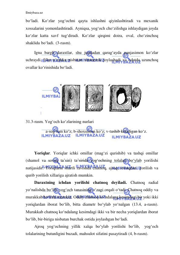 Ilmiybaza.uz 
 
 
bo‘ladi. Ko‘zlar yog‘ochni qayta ishlashni qiyinlashtiradi va mexanik 
xossalarini yomonlashtiradi. Ayniqsa, yog‘och cho‘zilishga ishlaydigan joyda 
ko‘zlar katta xavf tug‘diradi. Ko‘zlar qirqimi doira, oval, cho‘zinchoq 
shaklida bo‘ladi. (3-rasm). 
Igna bargli daraxtlar, shu jumladan qarag‘ayda panjasimon ko‘zlar 
uchraydi. Ular o‘zakka nisbatan simmetrik joylashadi va odatda uzunchoq 
ovallar ko‘rinishida bo‘ladi. 
 
 
31.3-rasm. Yog‘och ko‘zlarining nurlari 
a-sog‘lom ko‘z; b-shoxsimon ko‘z; v-tushib ketadigan ko‘z. 
 
 
Yoriqlar. Yoriqlar ichki omillar (mag‘zi qurishib) va tashqi omillar 
(shamol va sovuq ta’siri) ta’sirida yog‘ochning tolalari bo‘ylab yorilishi 
natijasidir. Yoriqlarni shartli ravishda chatnoq, ajroq, sovuqdan yorilish va 
qurib yorilish xillariga ajratish mumkin. 
Daraxtning ichdan yorilishi chatnoq deyiladi. Chatnoq radial 
yo‘nalishda bo‘lib, yog‘och tanasining o‘zagi orqali o‘tadi. Chatnoq oddiy va 
murakkab bo‘lishi mumkin. Oddiy chatnoq ko‘ndalang kesimdagi bir yoki ikki 
yoriqlardan iborat bo‘lib, bitta diametr bo‘ylab yo‘nalgan (13.4, a-rasm). 
Murakkab chatnoq ko‘ndalang kesimdagi ikki va bir necha yoriqlardan iborat 
bo‘lib, bir-biriga nisbatan burchak ostida joylashgan bo‘ladi. 
Ajroq yog‘ochning yillik xalqa bo‘ylab yorilishi bo‘lib, 
yog‘och 
tolalarining butunligini buzadi, mahsulot sifatini pasaytiradi (4, b- rasm). 
