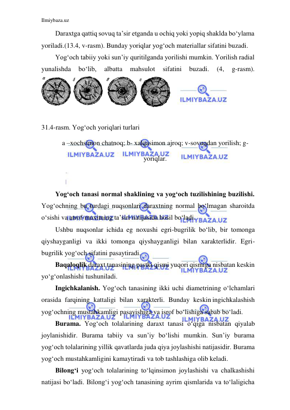 Ilmiybaza.uz 
 
 
Daraxtga qattiq sovuq ta’sir etganda u ochiq yoki yopiq shaklda bo‘ylama 
yoriladi.(13.4, v-rasm). Bunday yoriqlar yog‘och materiallar sifatini buzadi. 
Yog‘och tabiiy yoki sun’iy quritilganda yorilishi mumkin. Yorilish radial 
yunalishda 
bo‘lib, 
albatta 
mahsulot 
sifatini 
buzadi. 
(4, 
g-rasm). 
 
 
31.4-rasm. Yog‘och yoriqlari turlari 
a –xochsimon chatnoq; b- xalqasimon ajroq; v-sovuqdan yorilish; g- 
yoriqlar. 
 
 
Yog‘och tanasi normal shaklining va yog‘och tuzilishining buzilishi. 
Yog‘ochning bu turdagi nuqsonlari daraxtning normal bo‘lmagan sharoitda 
o‘sishi va atrof-muxitning ta’siri natijasida hosil bo‘ladi. 
Ushbu nuqsonlar ichida eg noxushi egri-bugrilik bo‘lib, bir tomonga 
qiyshayganligi va ikki tomonga qiyshayganligi bilan xarakterlidir. Egri- 
bugrilik yog‘och sifatini pasaytiradi. 
Baqaloqlik daraxt tanasining pastki qismi yuqori qismiga nisbatan keskin 
yo‘g‘onlashishi tushuniladi. 
Ingichkalanish. Yog‘och tanasining ikki uchi diametrining o‘lchamlari 
orasida farqining kattaligi bilan xarakterli. Bunday keskin ingichkalashish 
yog‘ochning mustahkamligi pasayishiga va isrof bo‘lishiga sabab bo‘ladi. 
Burama. Yog‘och tolalarining daraxt tanasi o‘qiga nisbatan qiyalab 
joylanishidir. Burama tabiiy va sun’iy bo‘lishi mumkin. Sun’iy burama 
yog‘och tolalarining yillik qavatlarda juda qiya joylashishi natijasidir. Burama 
yog‘och mustahkamligini kamaytiradi va tob tashlashiga olib keladi. 
Bilong‘i yog‘och tolalarining to‘lqinsimon joylashishi va chalkashishi 
natijasi bo‘ladi. Bilong‘i yog‘och tanasining ayrim qismlarida va to‘laligicha 
