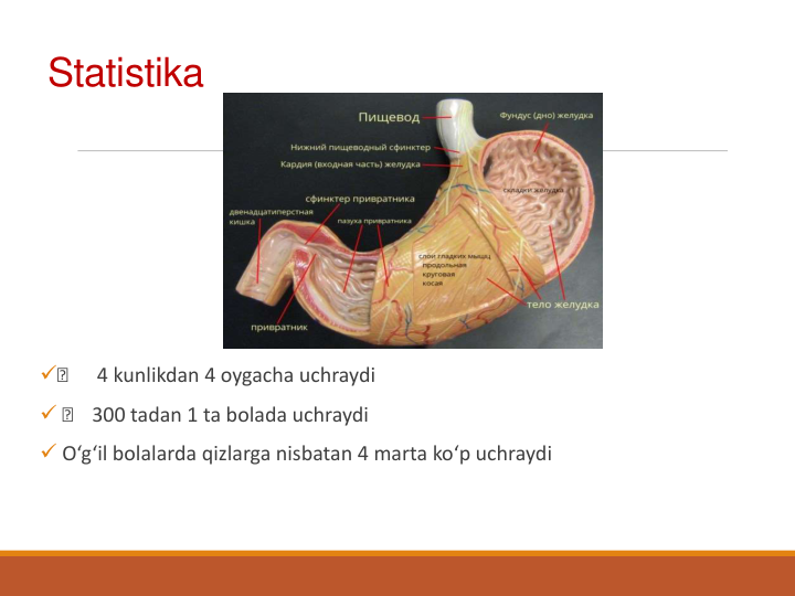 Statistika
