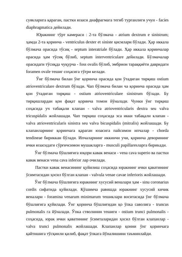 суякларига қараган, пастки юзаси диафрагмага тегиб турганлиги учун - facies
diaphragmatica дейилади. 
  Юракнинг тўрт камераси : 2-та бўлмача - atrium dextrum e sinistrum;
ҳамда 2-та қоринча - ventriculus dexter et siniste қисмлари бўлади. Ҳар иккала
бўлмача орасида тўсиқ - septum interatriale бўлади. Ҳар иккала қоринчалар
орасида  ҳам  тўсиқ  бўлиб,  septum  interventriculare  дейилади.  Бўлмачалар
орасидаги тўсиқда чуқурча - foss ovalis бўлиб, эмбрион тараққиёти давридаги
foramen ovale тешиг соҳасига тўғри келади. 
  Ўнг бўлмача билан ўнг қоринча орасида қон ўтадиган тирқиш ostium
atrioventriculare dextrum бўлади. Чап бўлмача билан ча қоринча орасида ҳам
қон  ўтадиган  тирқиш  -  ostium  atrioventriculare  sinistrum  бўлади.  Бу
тирқишлардан  қон  фақат  қоринча  томон  йўналади.  Чунки  ўнг  тирқиш
соҳасида  уч  табақали  клапан  -  valva  atrioventricularis  dextra  seu  valva
tricuspidalis жойлашади. Чап тирқиш соҳасида эса икки табақали клапан -
valva atrioventricularis sinistra seu valva bicuspidalis (mitralis) жойлашади. Бу
клапанларнинг  қоринчага  қараган  юзасига  пайсимон  ипчалар  -  chorda
tendineae бириккан бўлади. Ипчаларнинг иккинчи учи, қоринча деворининг
ички юзасидаги сўрғичсимон мушакларга - musculi papillaresларга бирикади. 
  Ўнг бўлмача бўшлиғига юқори кавак венаси - vena cava superio ва пастки
кавак венаси vena cava inferior лар очилади. 
  Пастки кавак венасининг қуйилиш соҳасида юракнинг ички қаватининг
ўсимтасидан ҳосил бўлган клапан - valvula venae cavae inferioris жойлашади. 
  Ўнг бўлмача бўшлиғига юракнинг хусусий веналари ҳам - sinu coronarius
cordis  сифатида  қуйилади.  Қўшимча  равишда  юракнинг  хусусий  кичик
веналари - foramina venarum minimarum тешиклари воситасида ўнг бўлмача
бўшлиғига қуйилади. Ўнг қоринча бўшлиғидан қо ўпка саволига - truncus
pulmonalis га йўналади. Ўпка стволинин тешиги - ostium trunci pulmonalis -
соҳасида, юрак ички қаватининг ўсимталаридан ҳосил бўлган клапанлар -
valva  trunci  pulmonalis  жойлашади.  Клапанлар  қонни  ўнг  қоринчага
қайтишига тўсқинли қилиб, фақат ўпкага йўналишини таъминлайди. 
